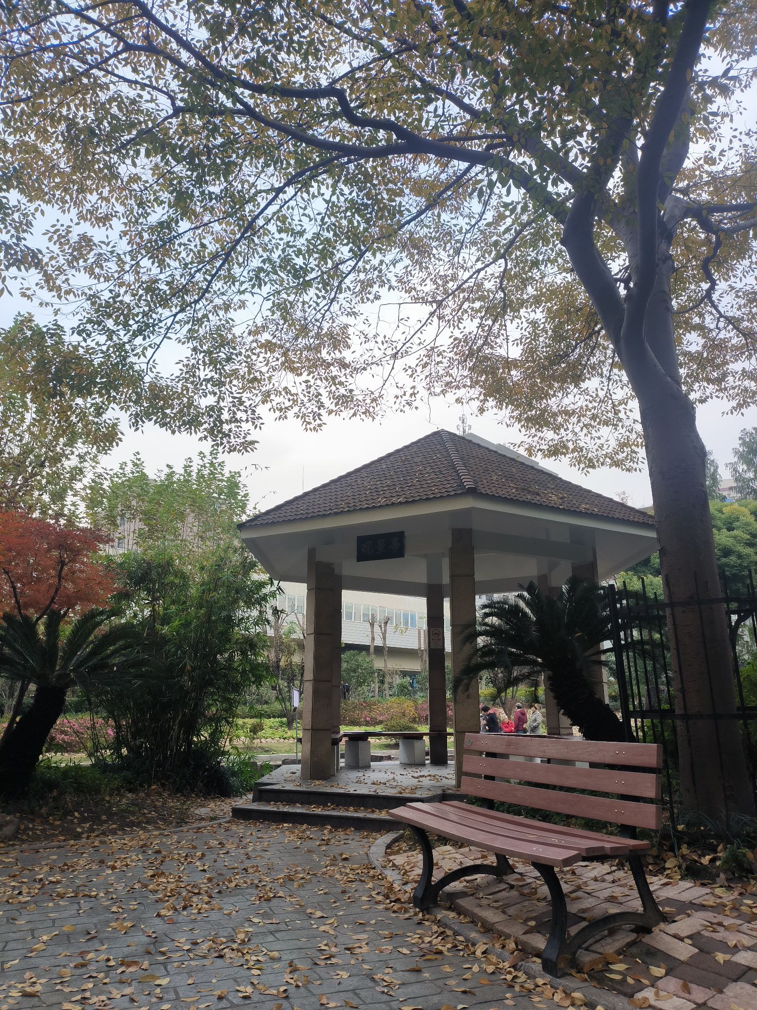 普陀公园旅行图片 1