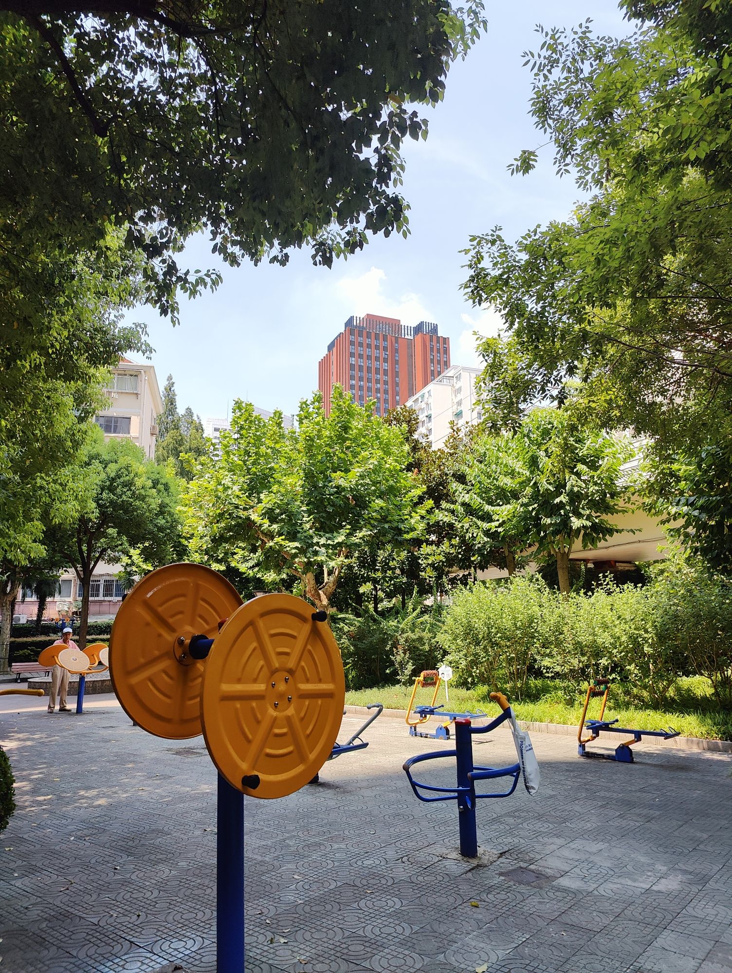 普陀公园旅行图片 3
