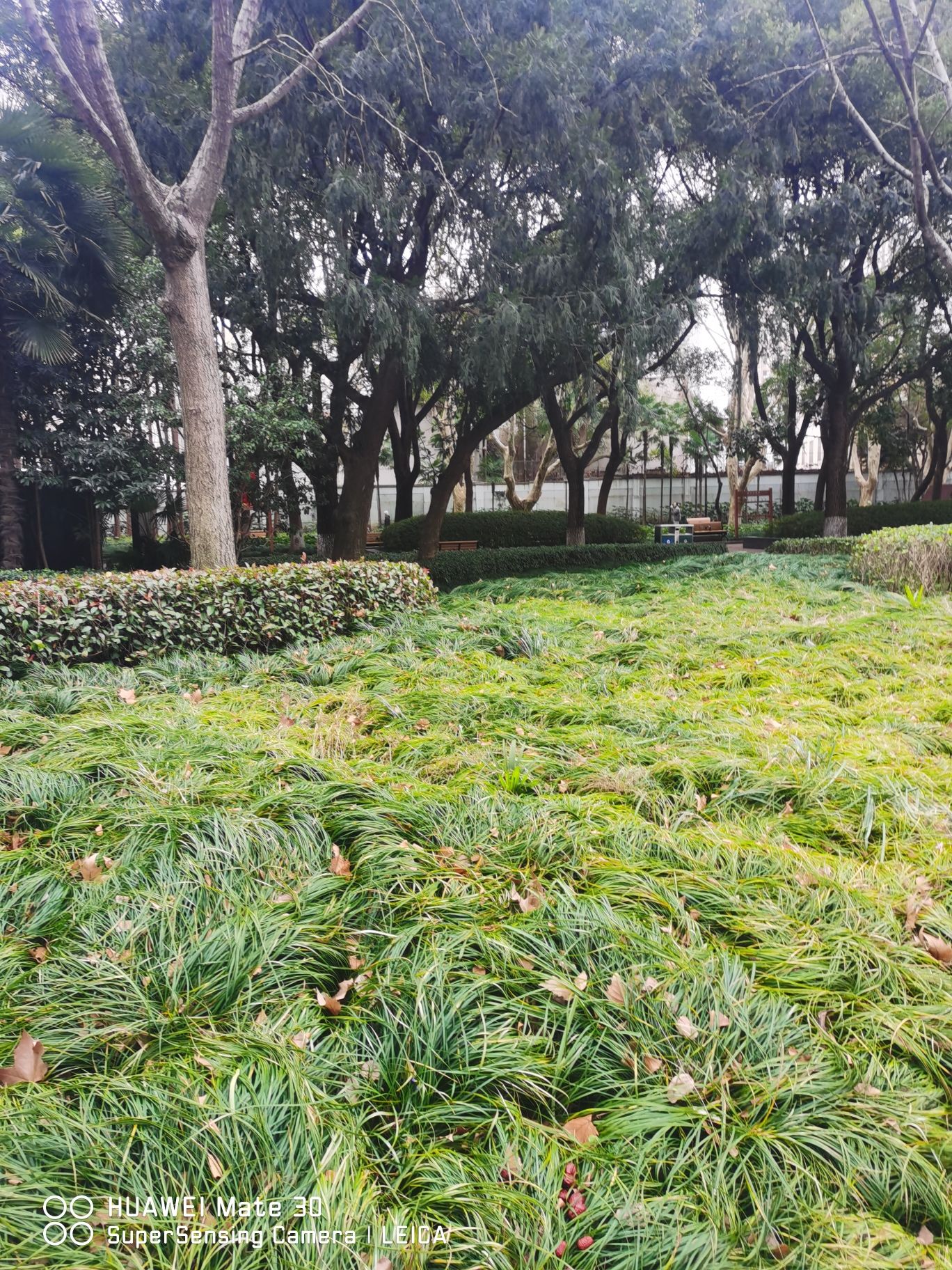 交通公园旅行图片 3