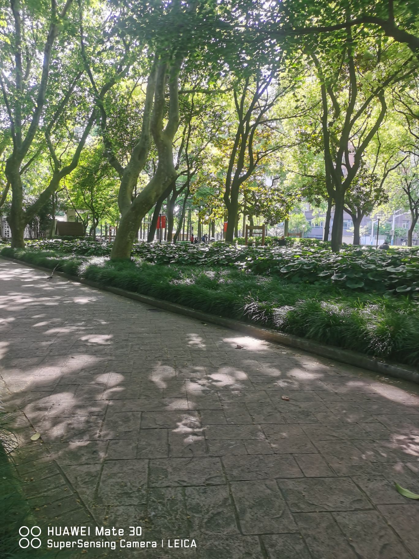 交通公园旅行图片 3