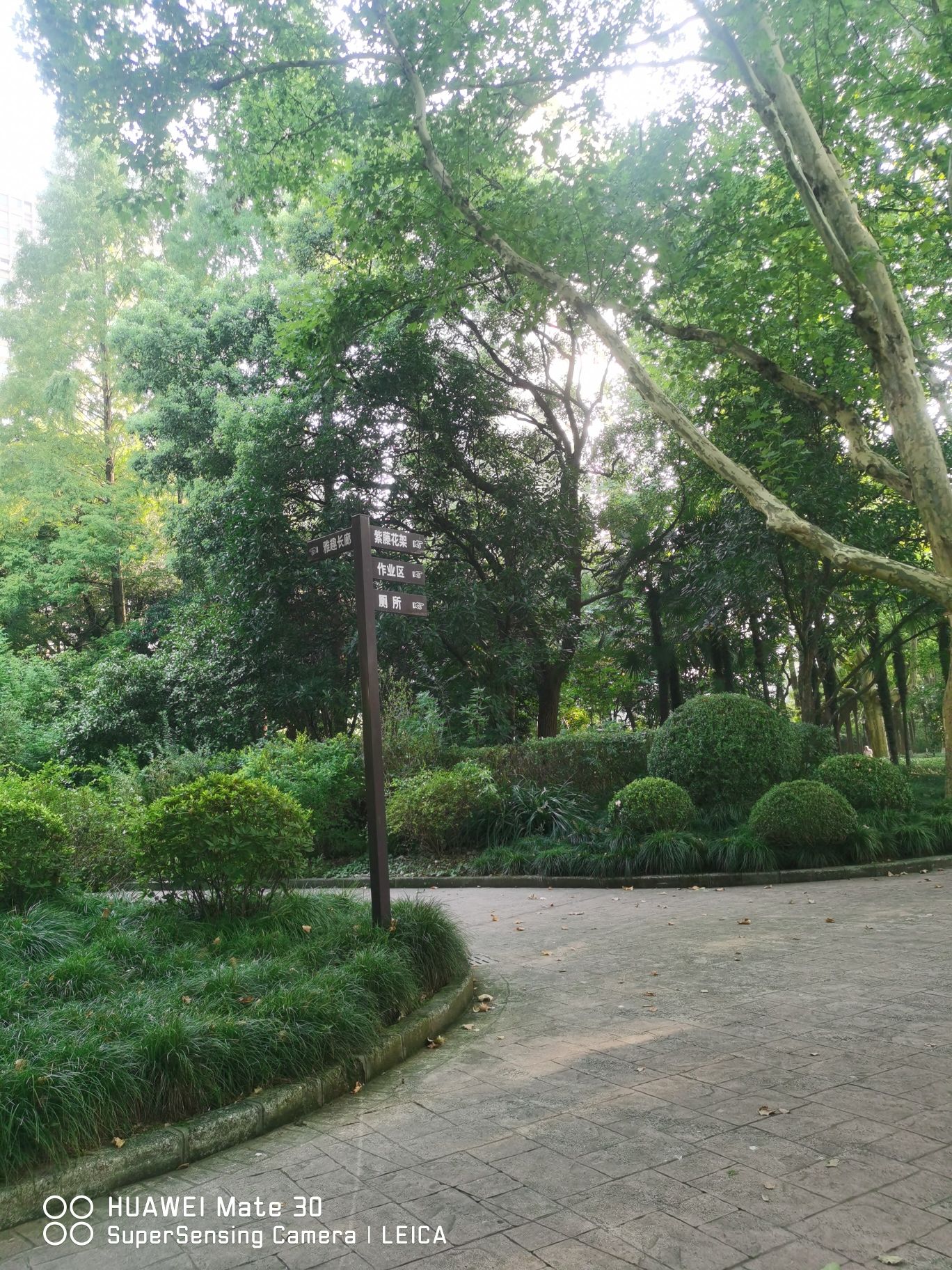 交通公园旅行图片 2