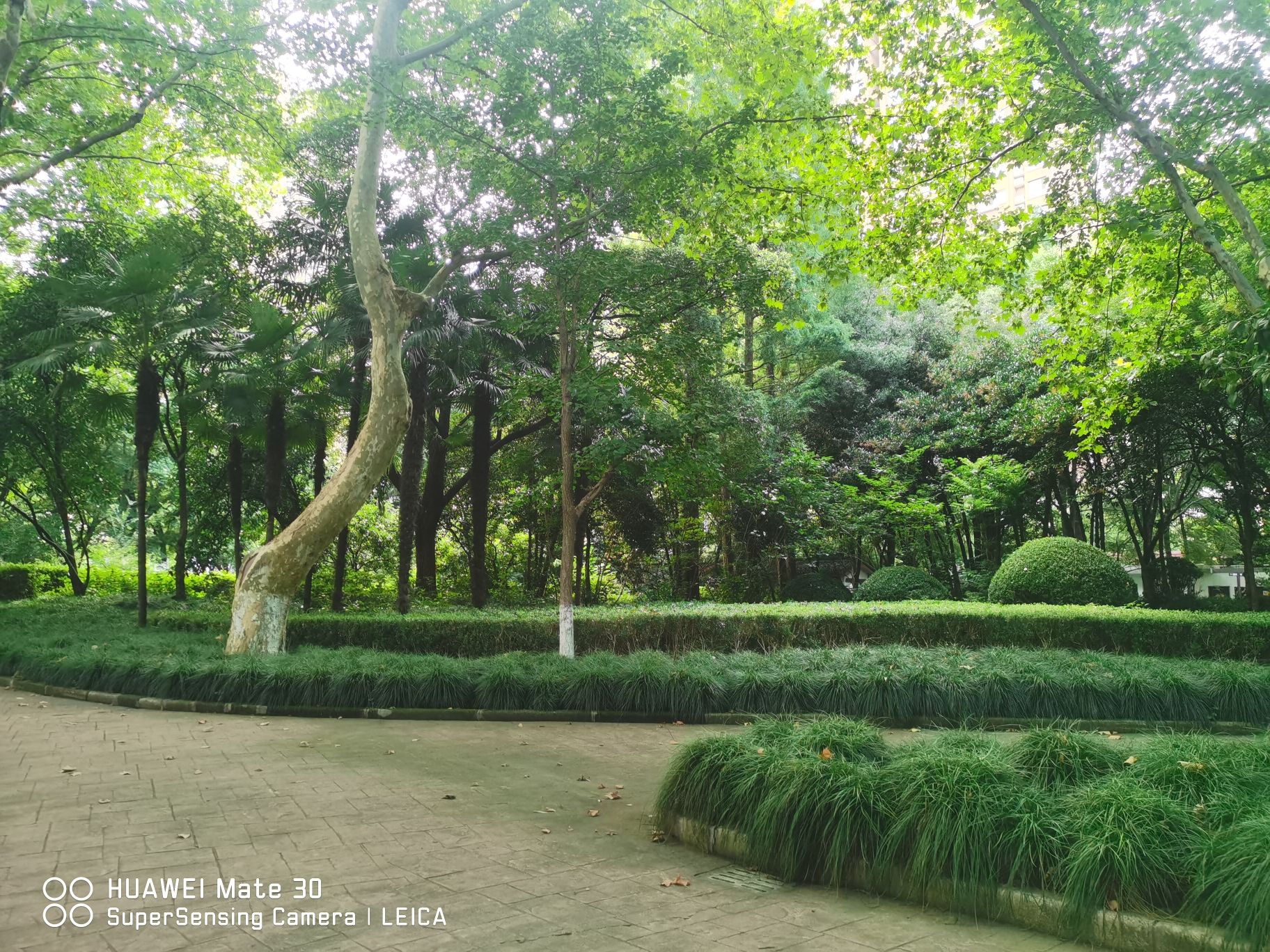 交通公园旅行图片 2