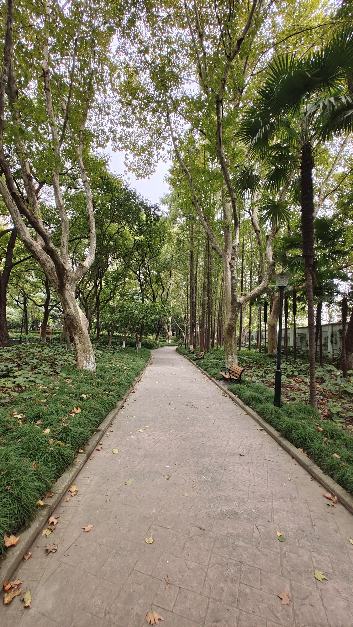 交通公园旅行图片 2