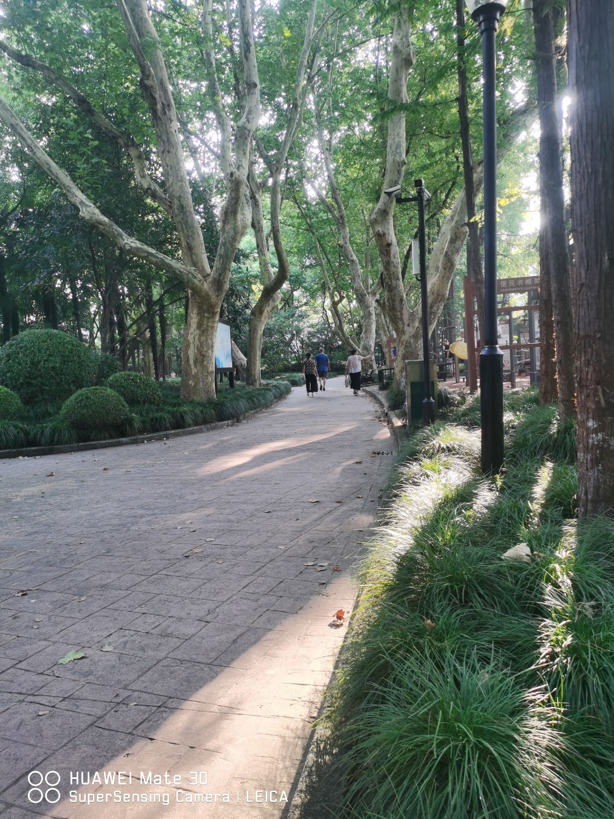 交通公园旅行图片 1