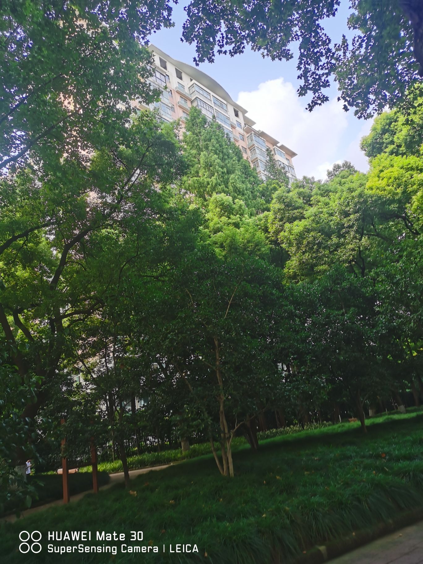 交通公园旅行图片 3