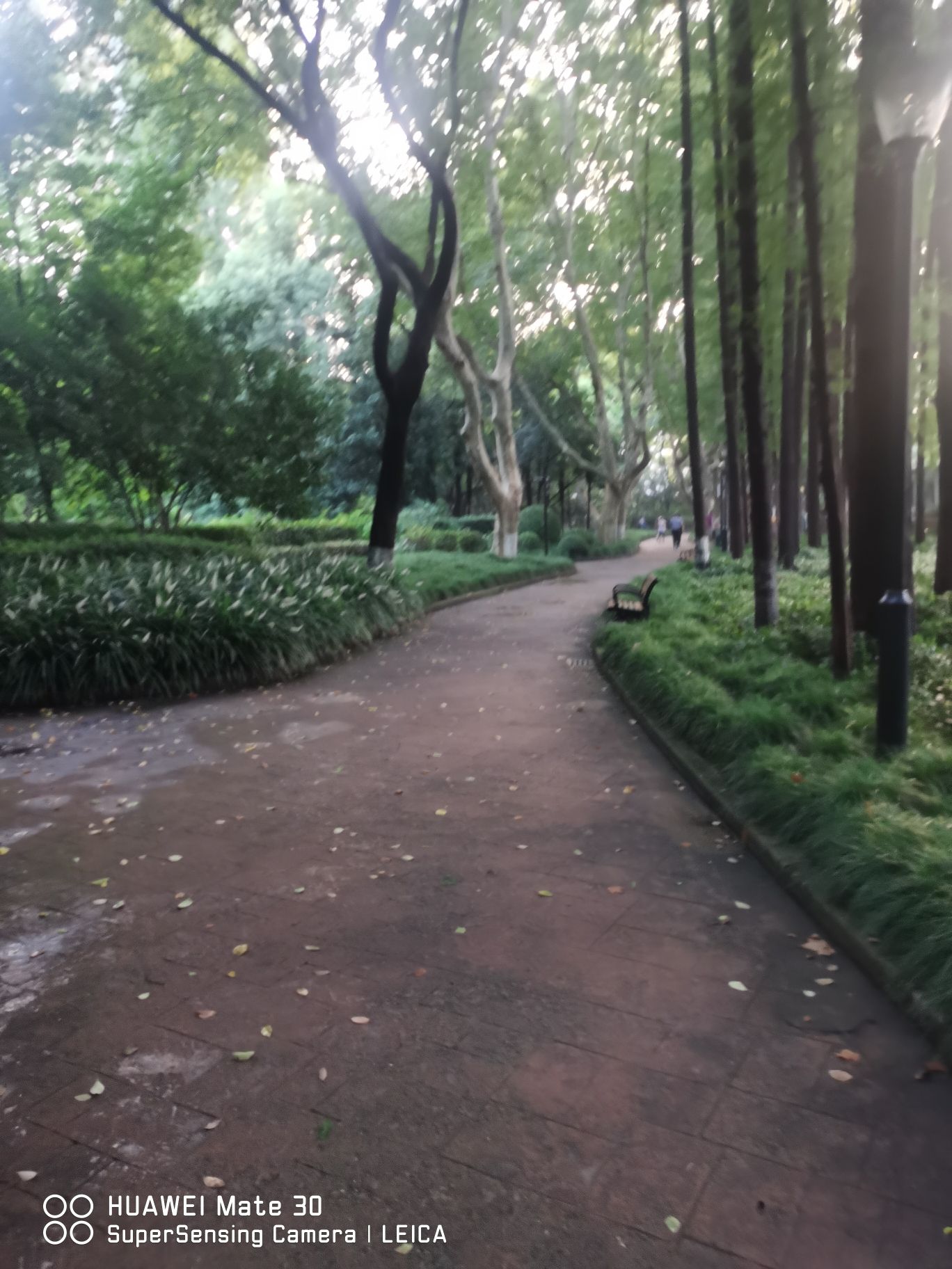 交通公园旅行图片 1