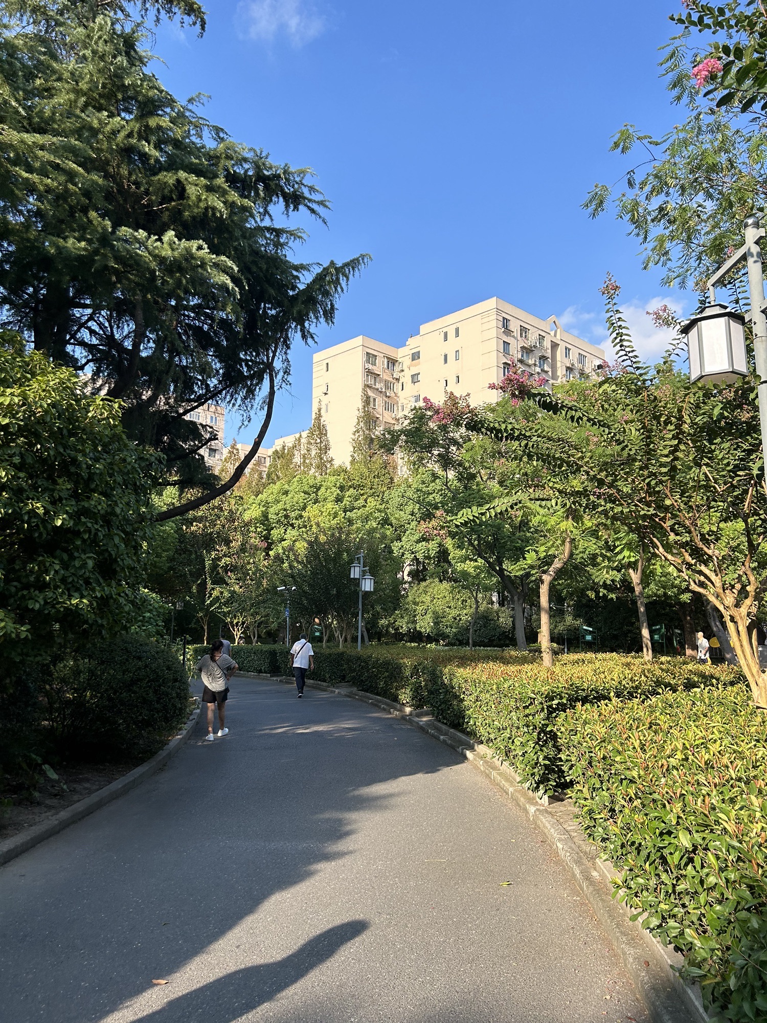 新泾公园旅行图片 2