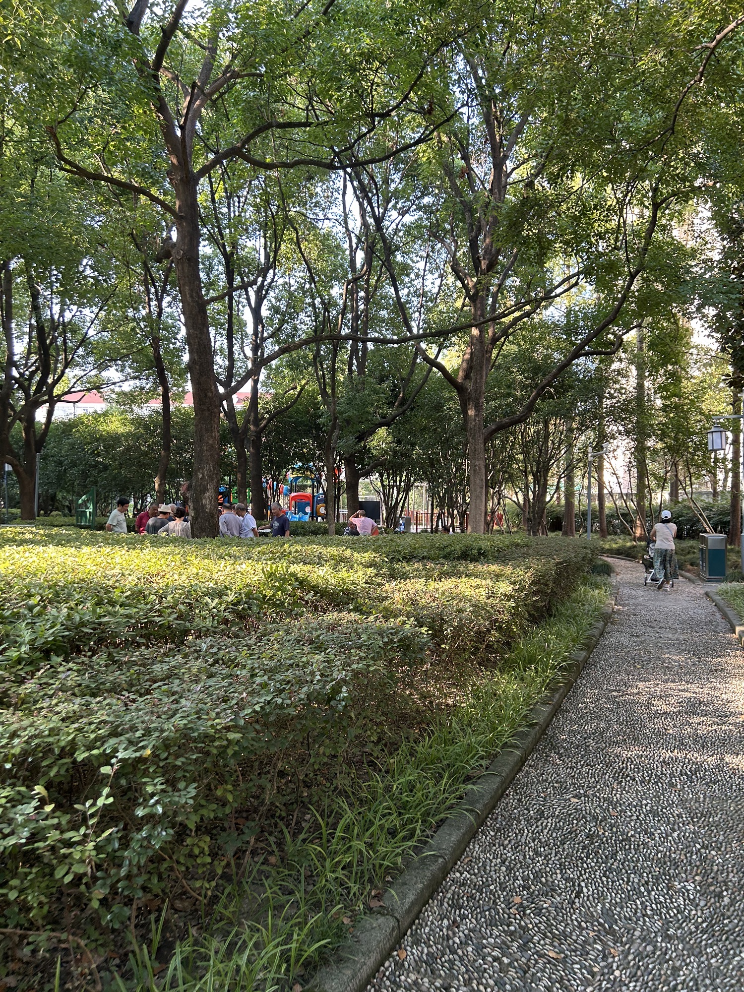 新泾公园旅行图片 3