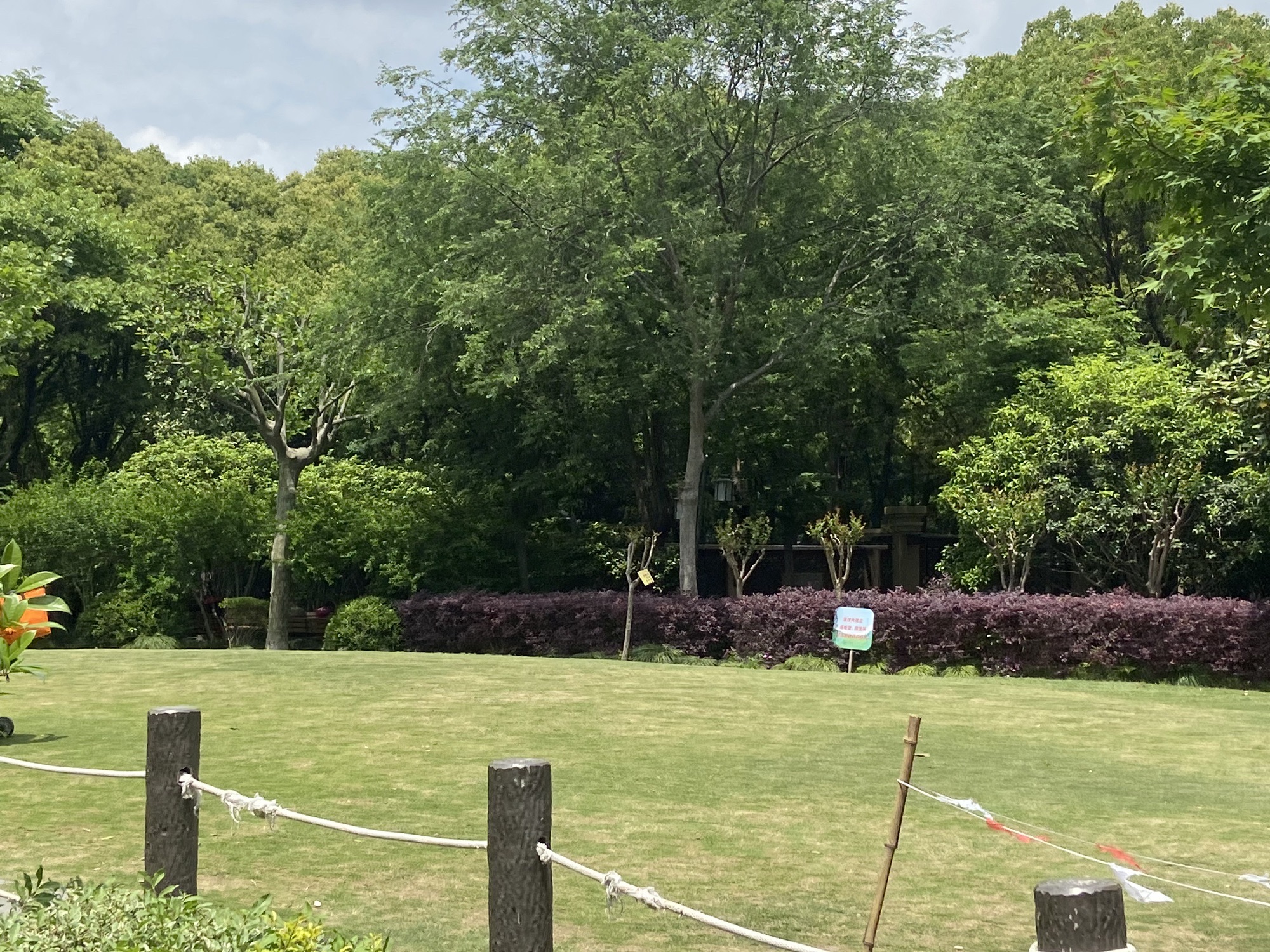 新泾公园旅行图片 3