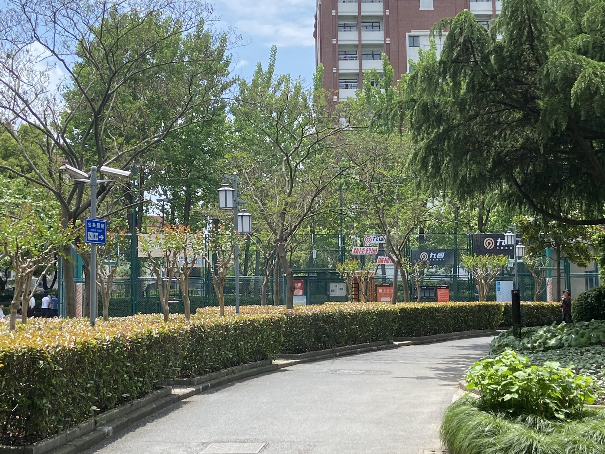 新泾公园旅行图片 2
