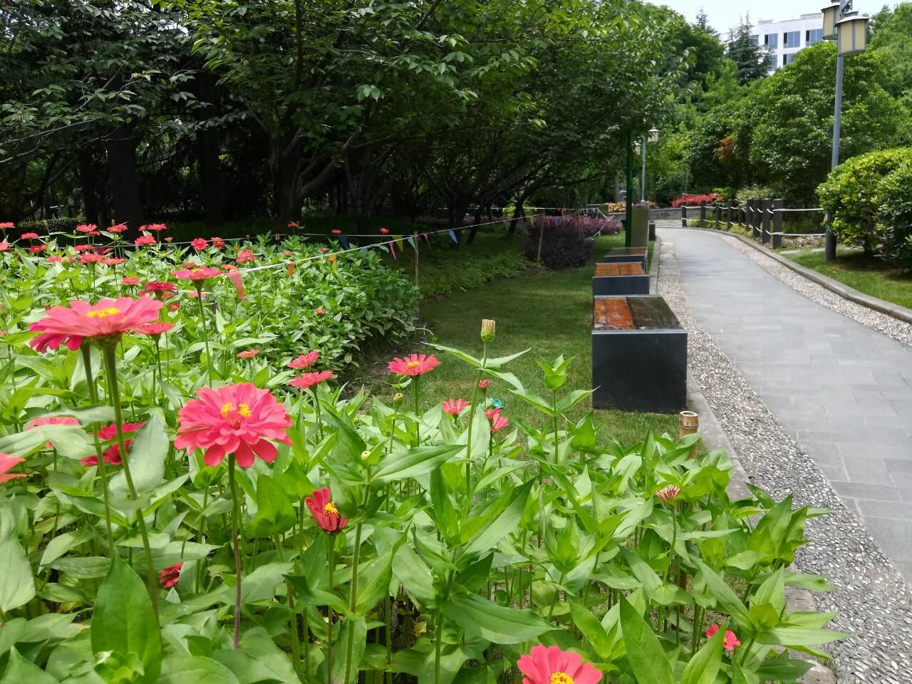 新泾公园旅行图片 2