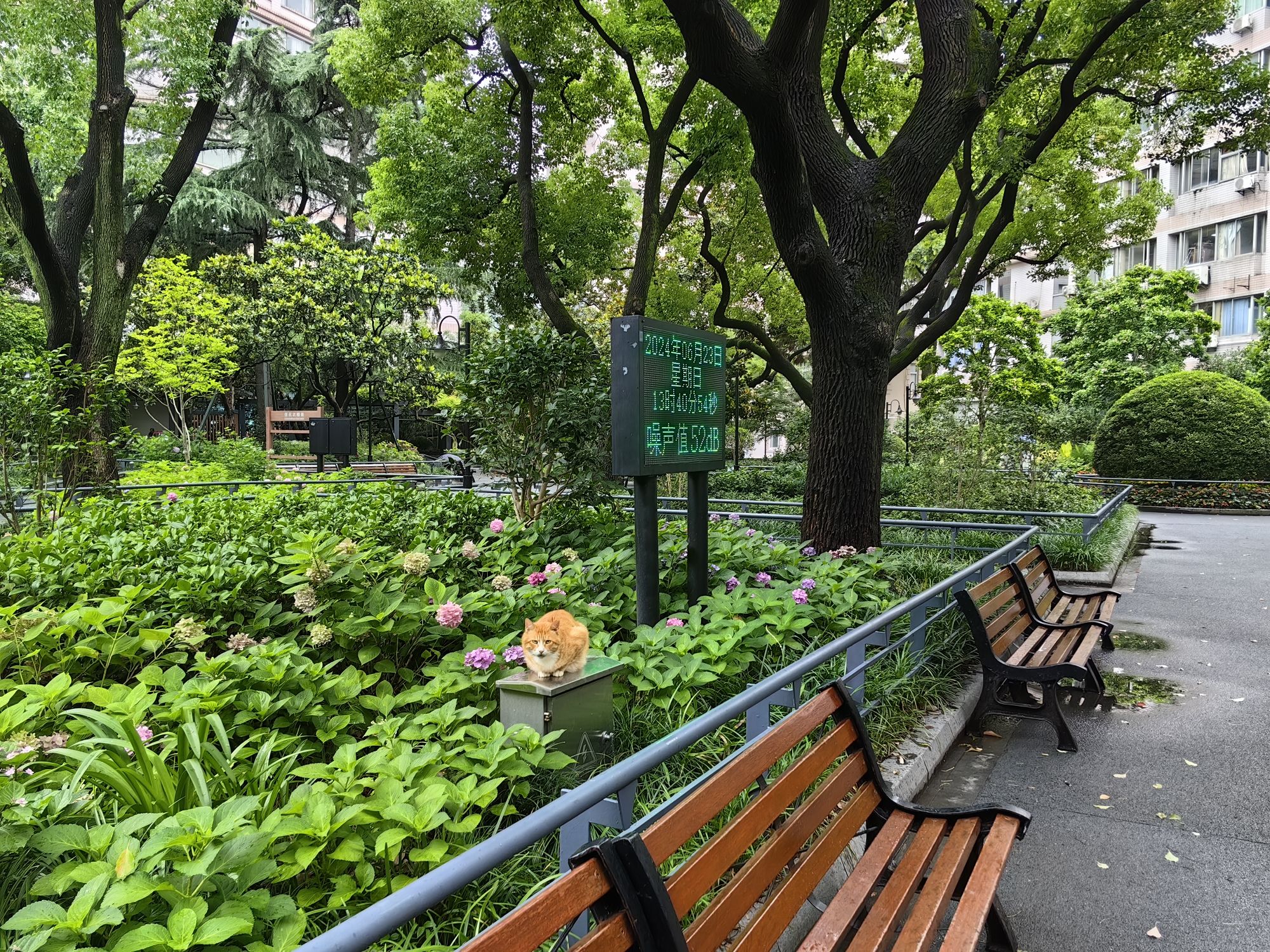 西康公园旅行图片 3