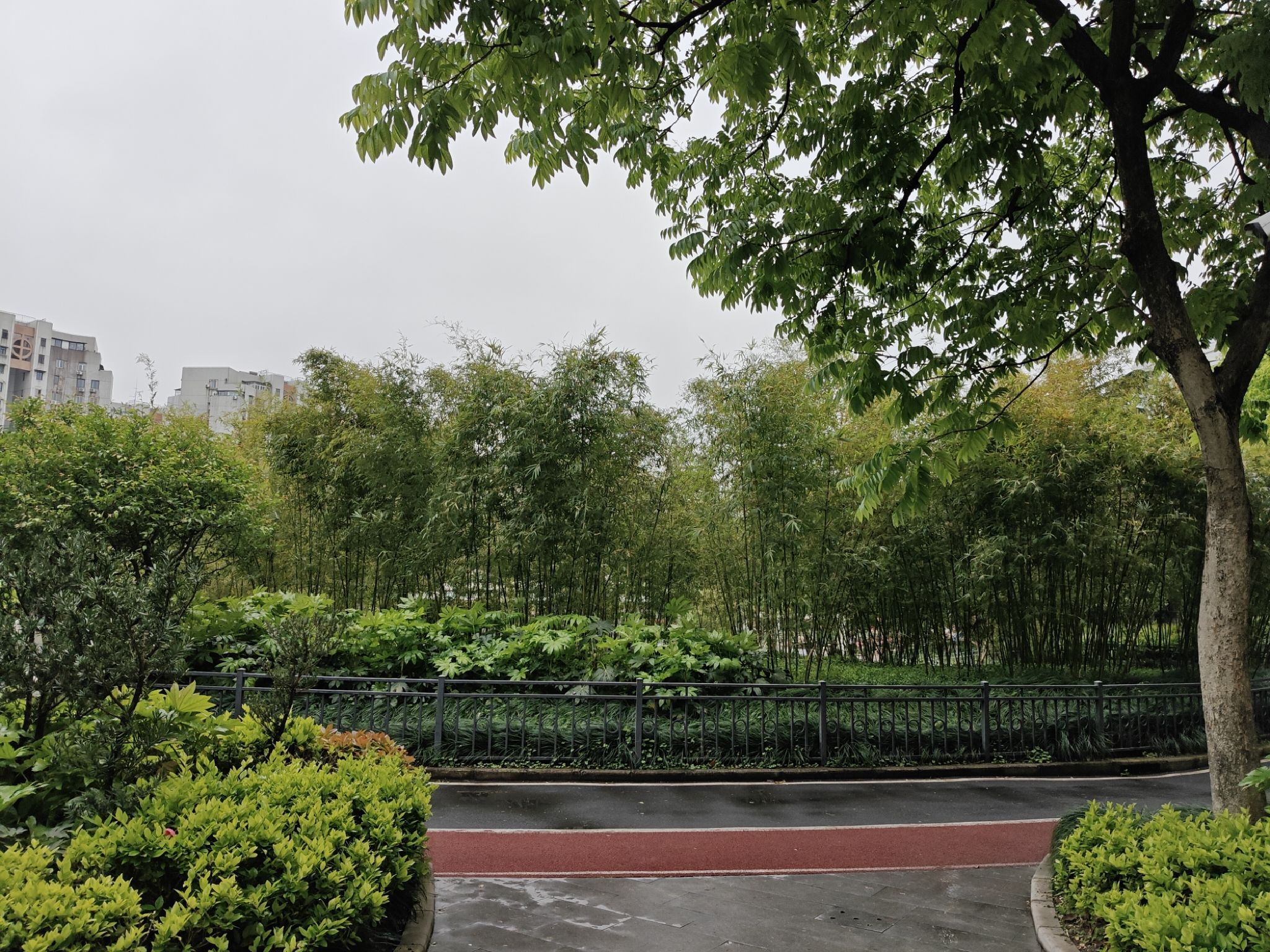 三泉公园旅行图片 3