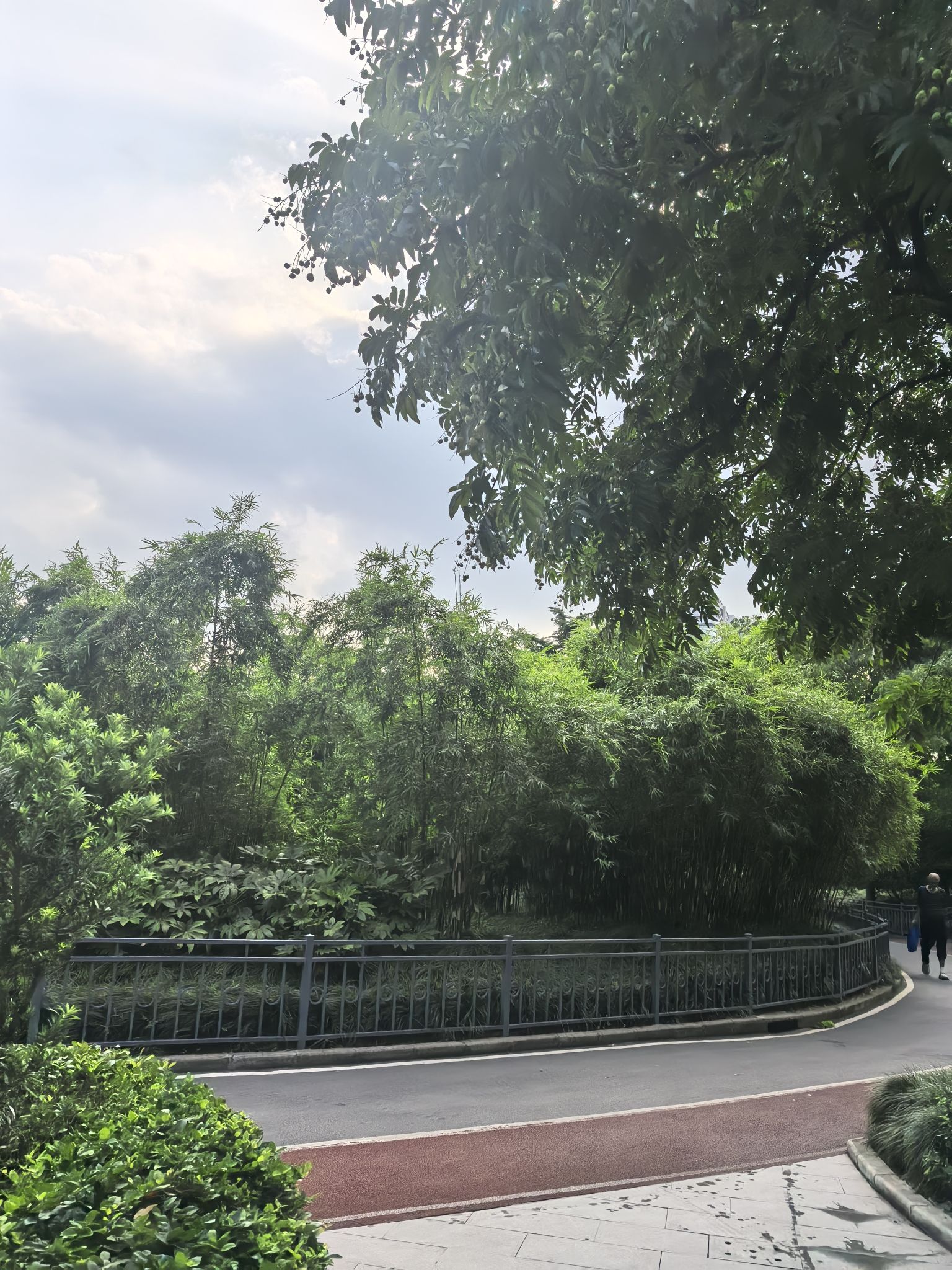 三泉公园旅行图片 2