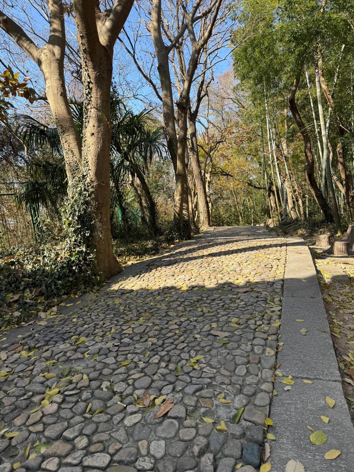 佘山国家旅游度假区旅行图片 3
