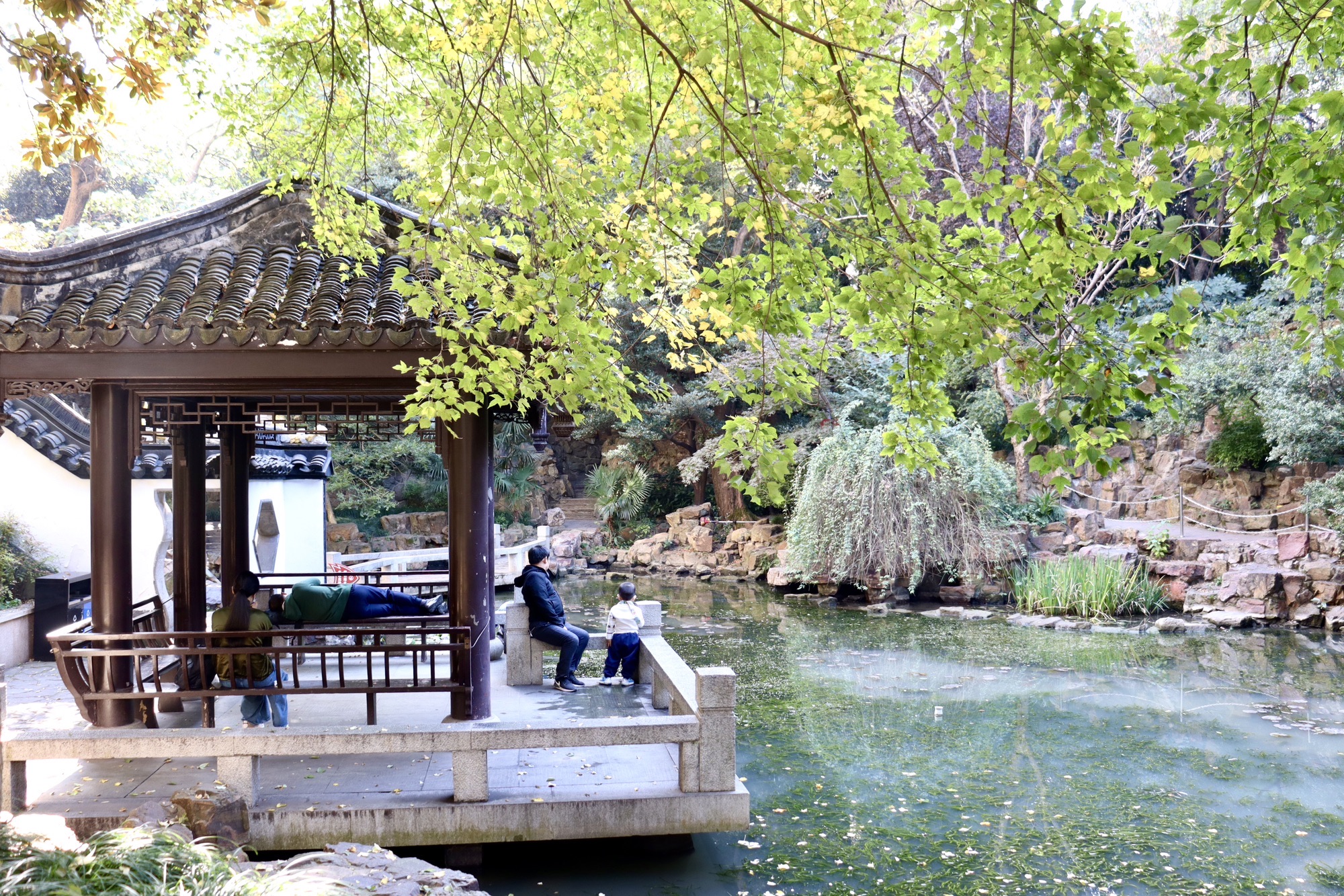 蓬莱公园旅行图片 3