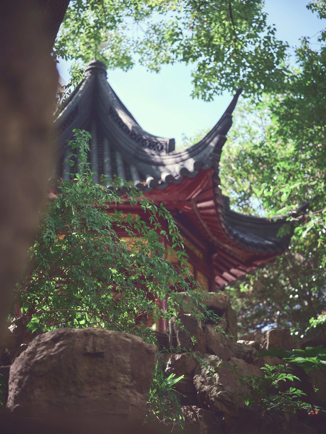 蓬莱公园旅行图片 3