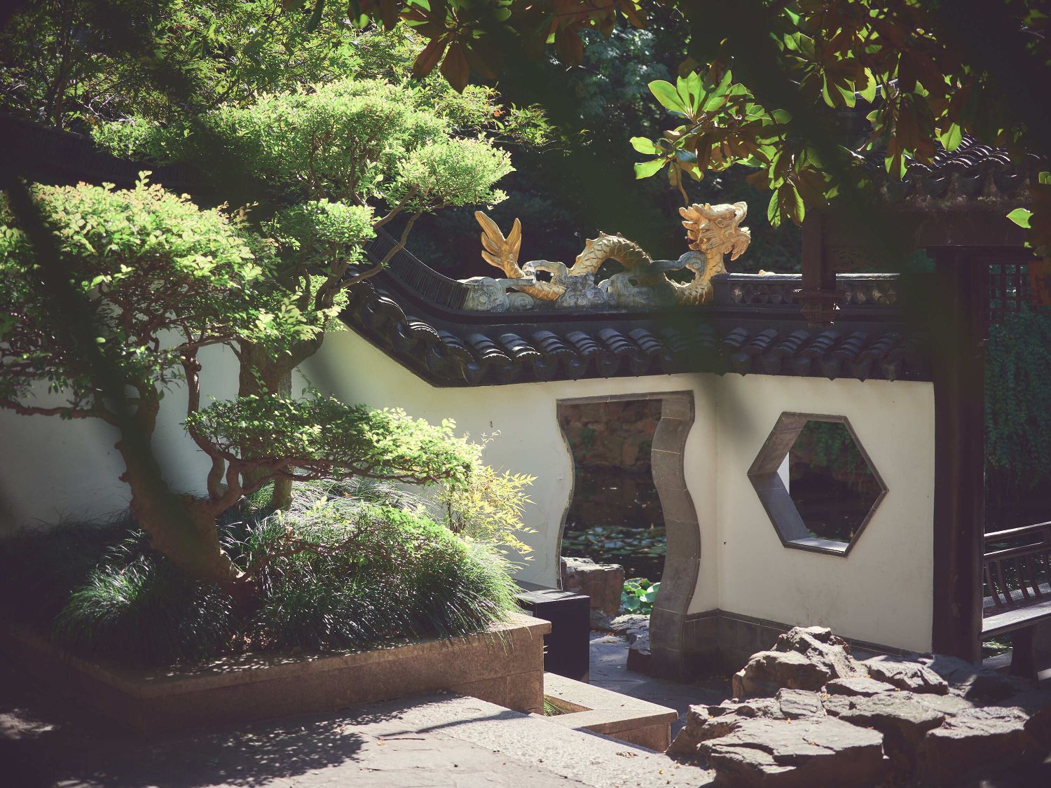蓬莱公园旅行图片 1