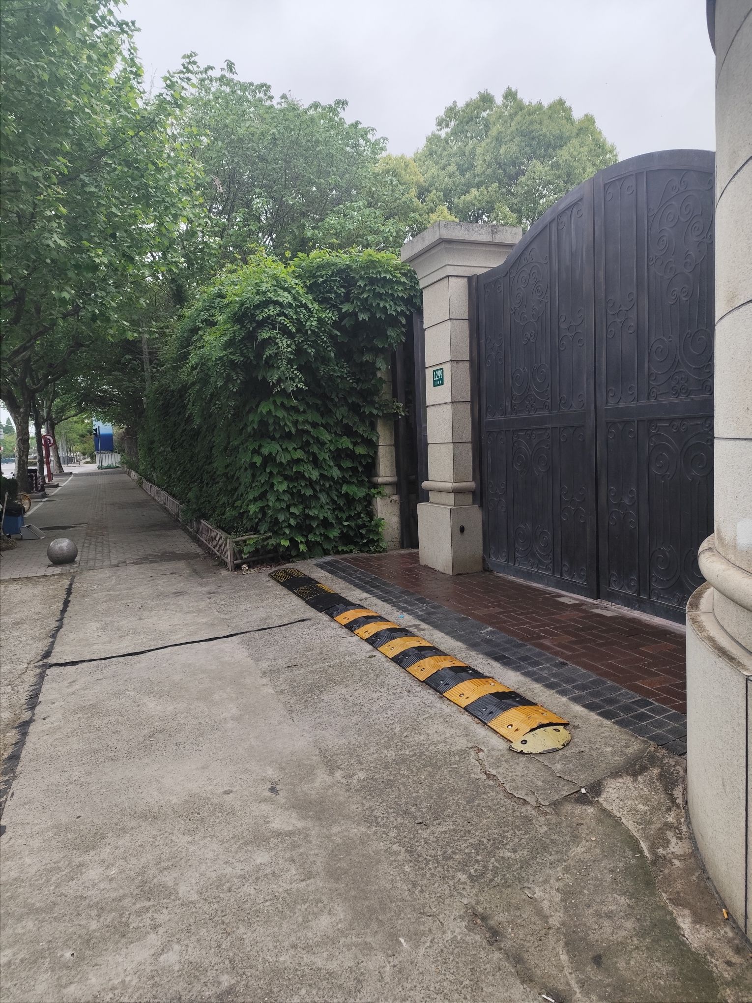 东明公园旅行图片 2