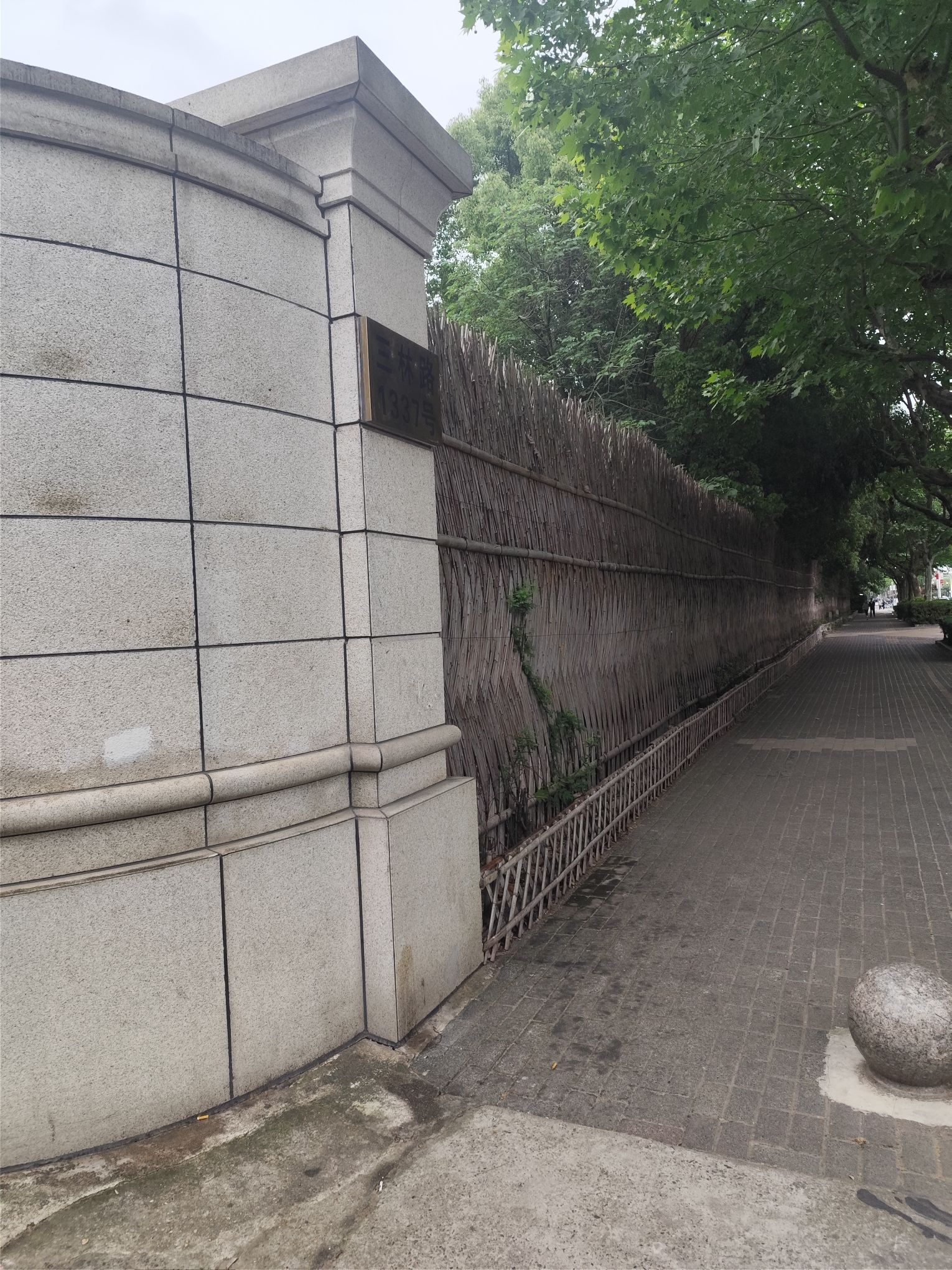 东明公园旅行图片 3