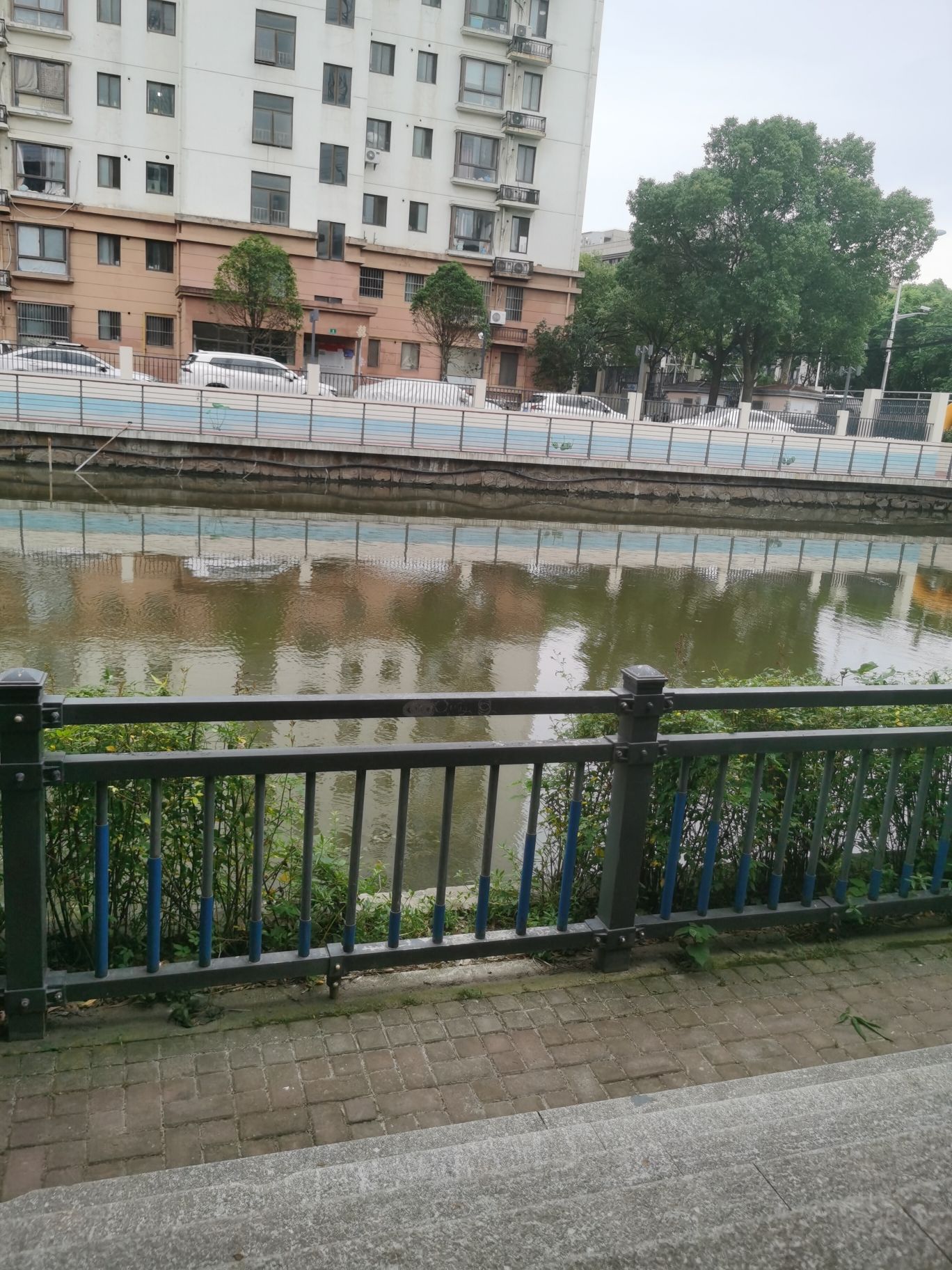 梦公园旅行图片 2