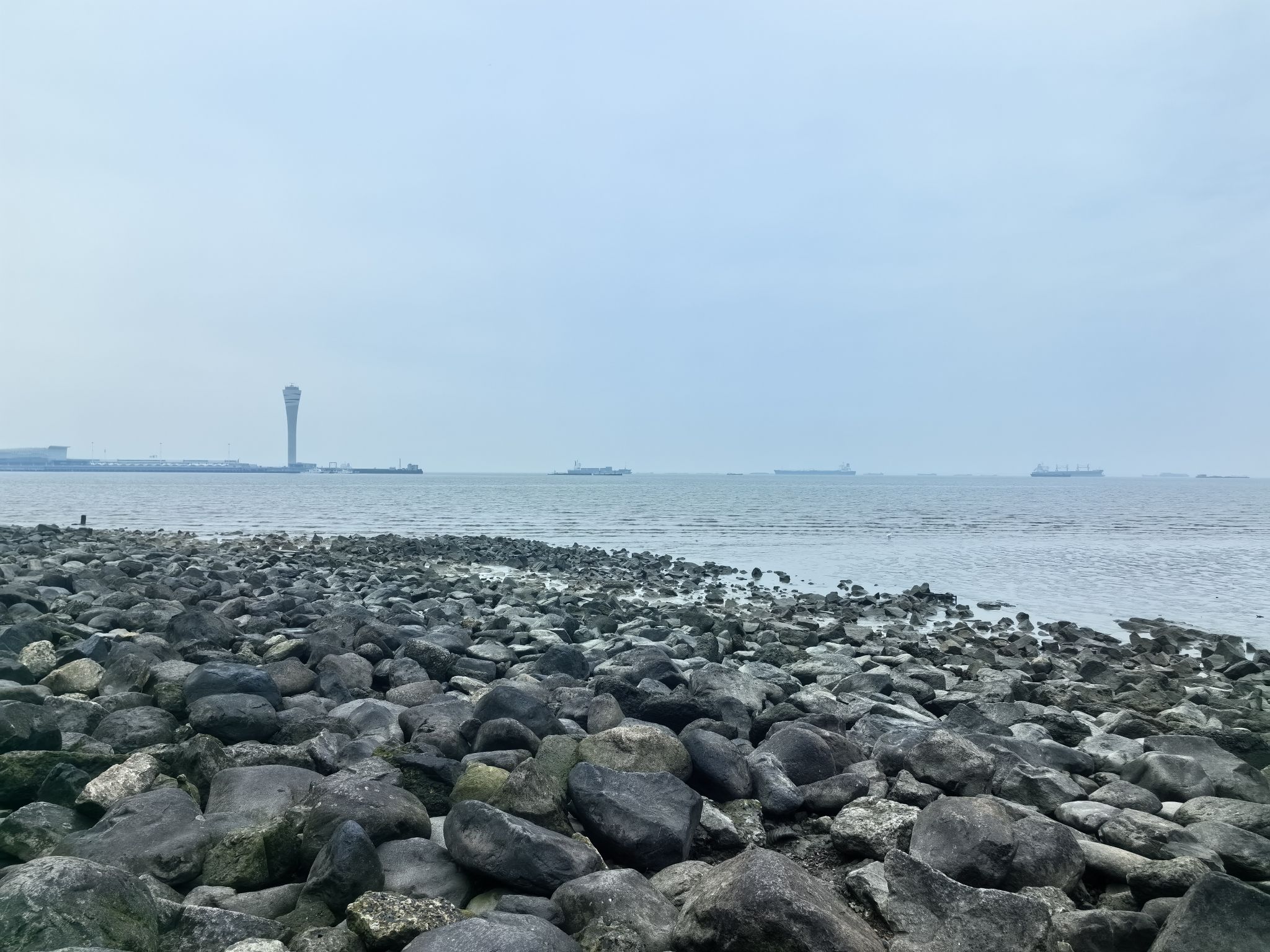 上海吴淞炮台湾国家湿地公园旅行图片 3