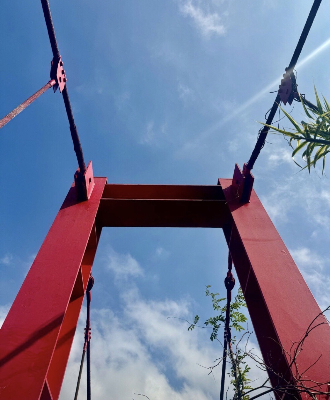 上海吴淞炮台湾国家湿地公园旅行图片 3