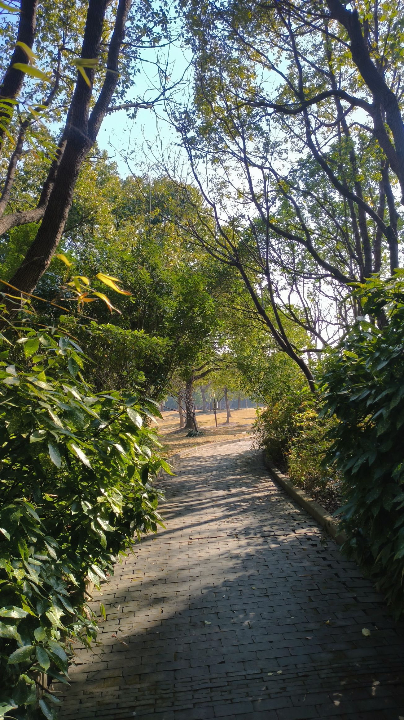 上海吴淞炮台湾国家湿地公园旅行图片 3