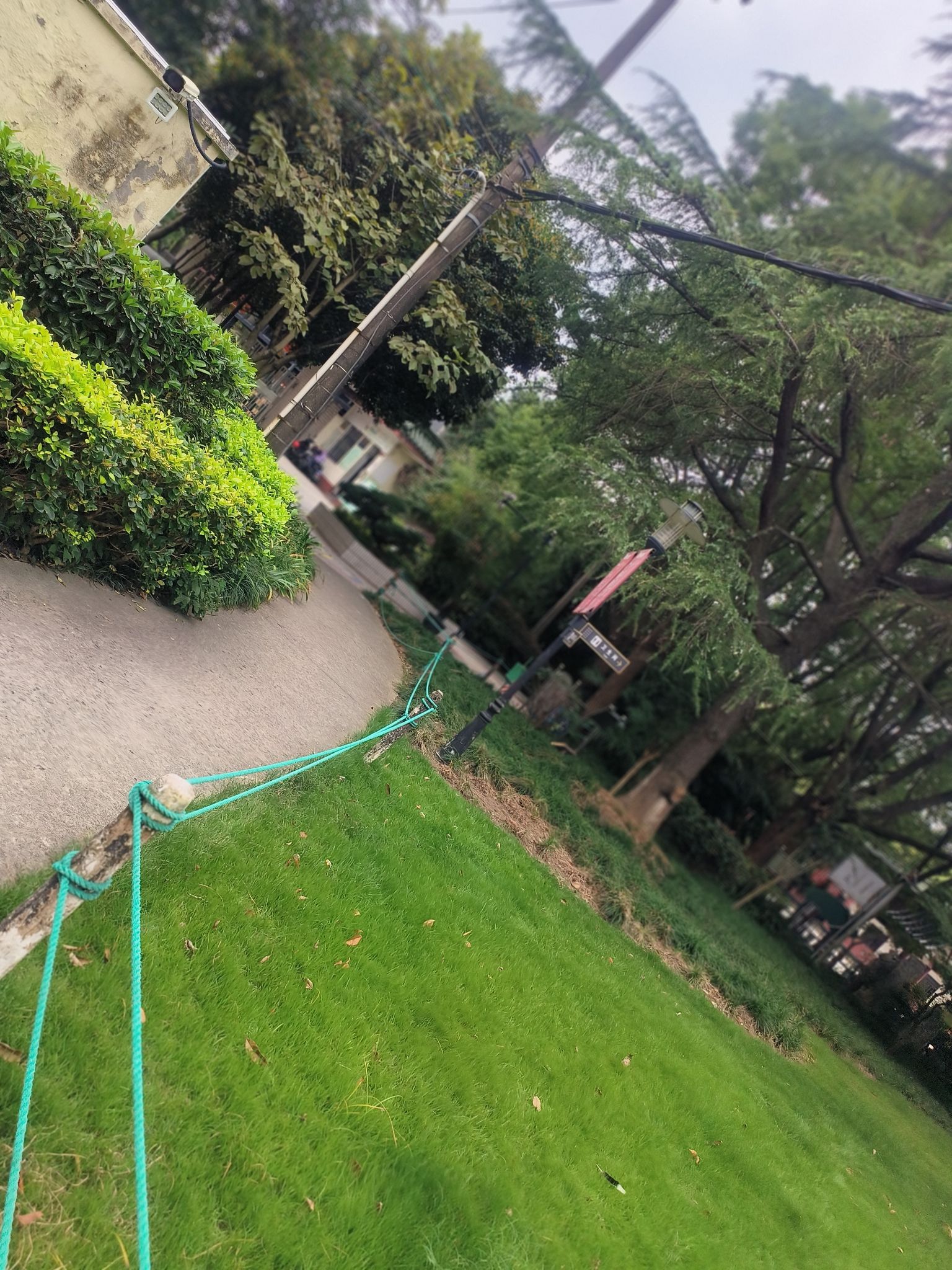 梅陇好人公园旅行图片 2