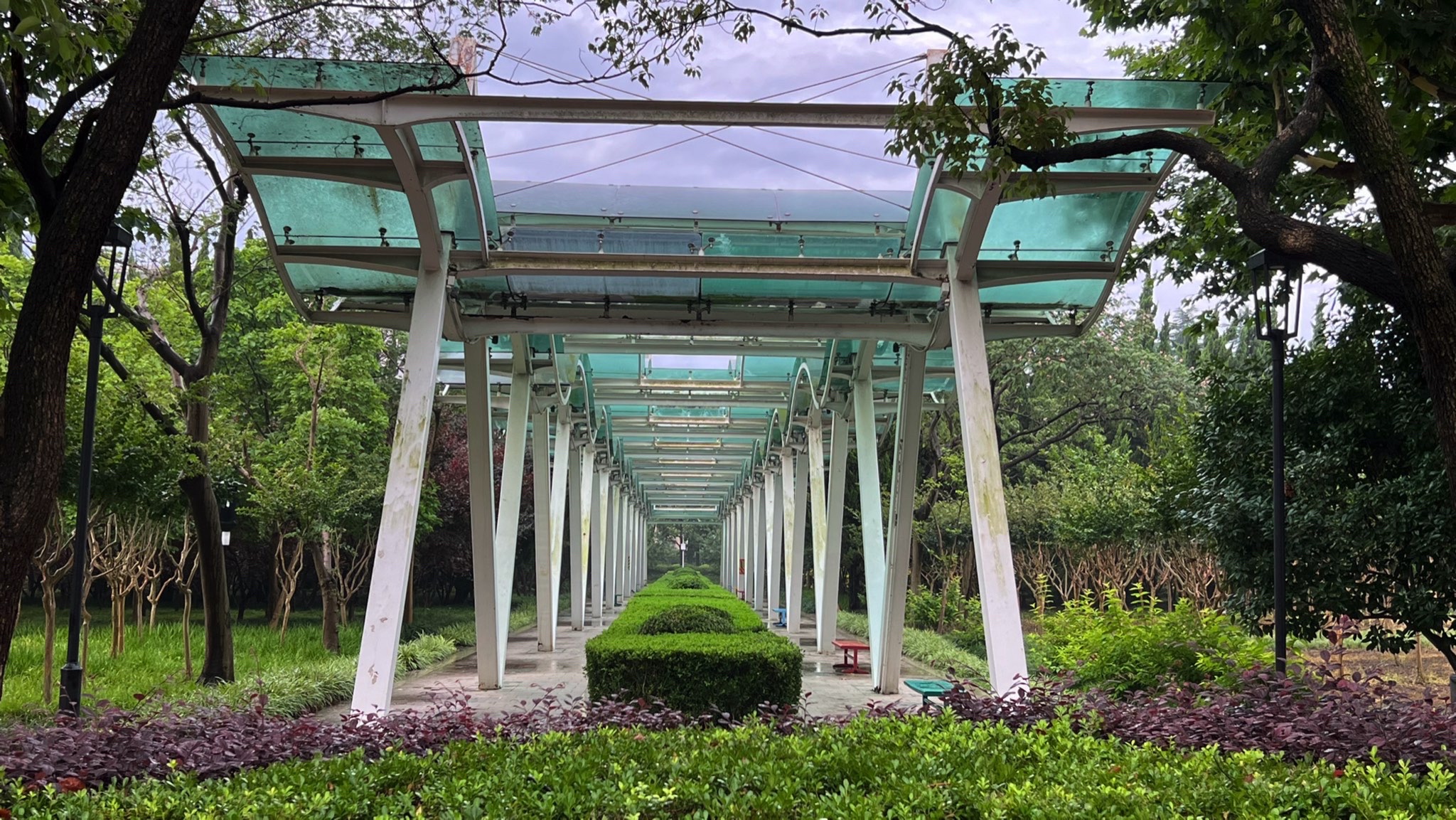 松江中央公园旅行图片 3