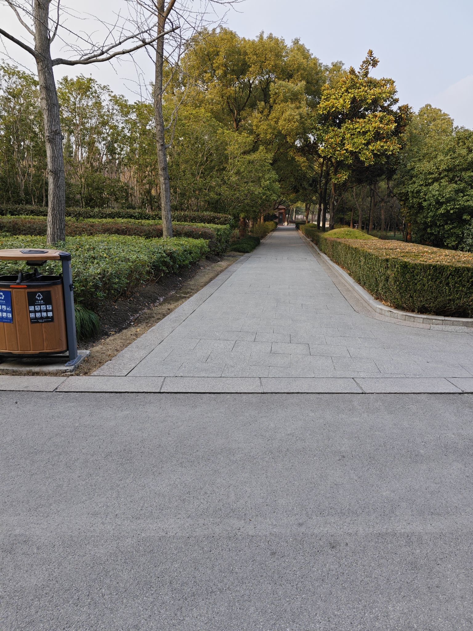 松江中央公园旅行图片 1