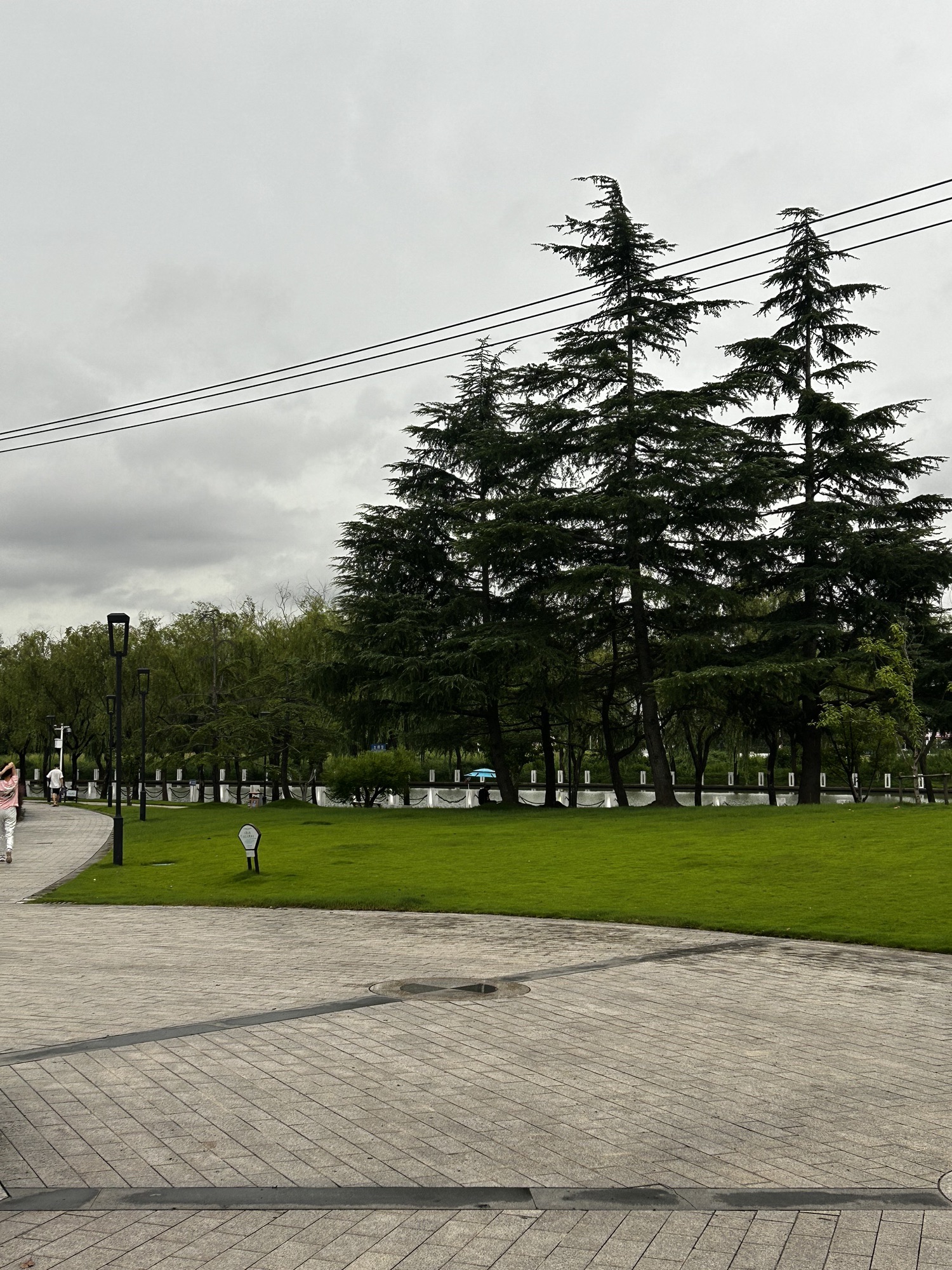 松江中央公园旅行图片 2