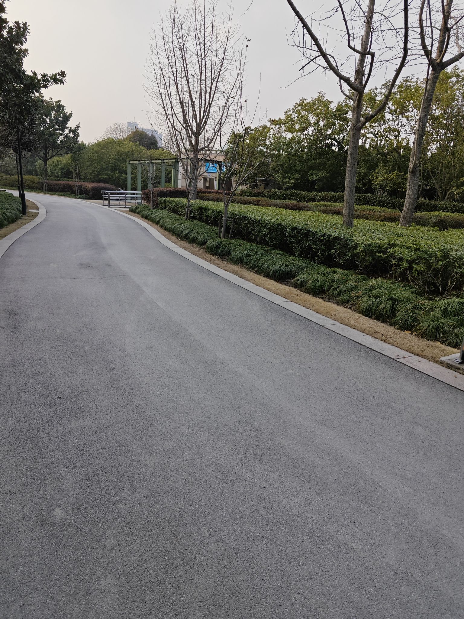 松江中央公园旅行图片 2