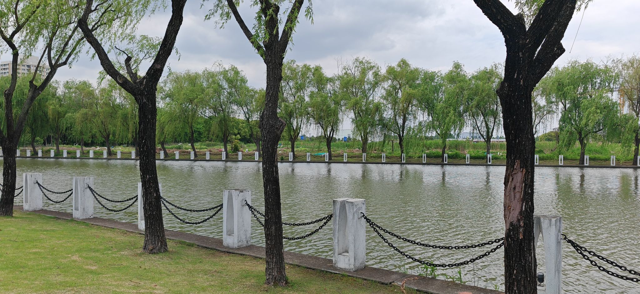 松江中央公园旅行图片 1