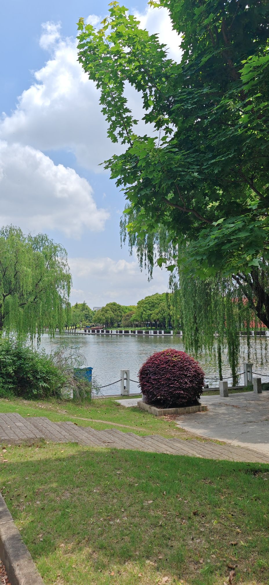 松江中央公园旅行图片 2