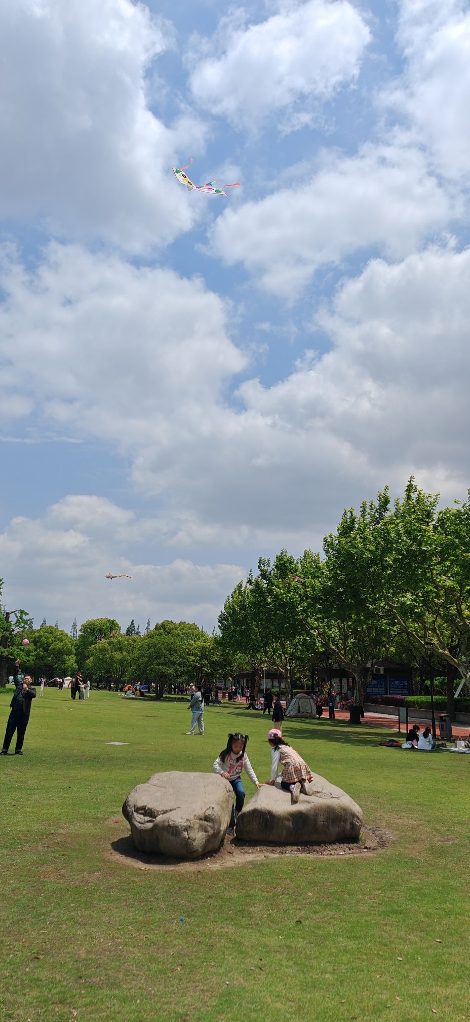 松江中央公园旅行图片 3