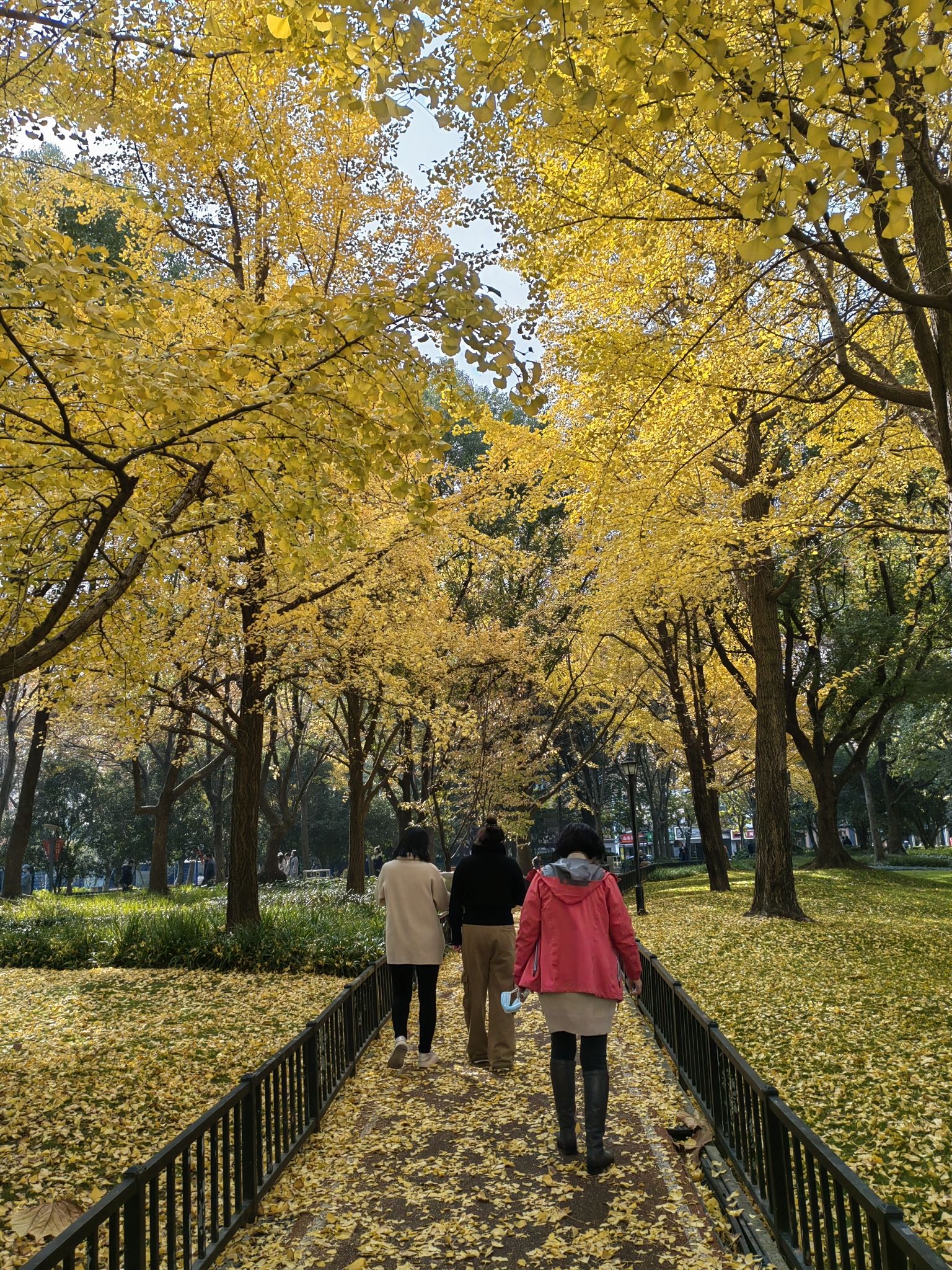 延福绿地旅行图片 3