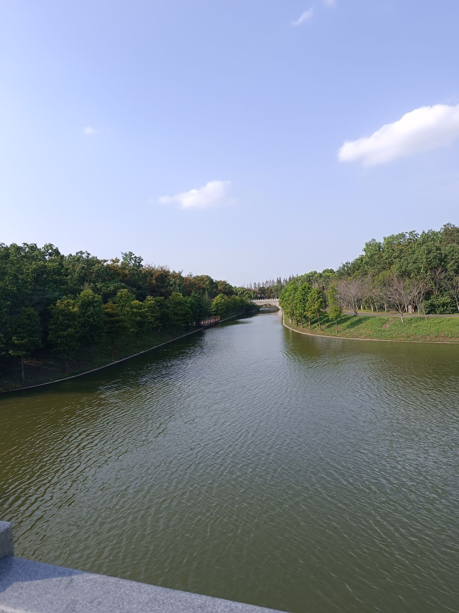 上海海湾国家森林公园旅行图片 3