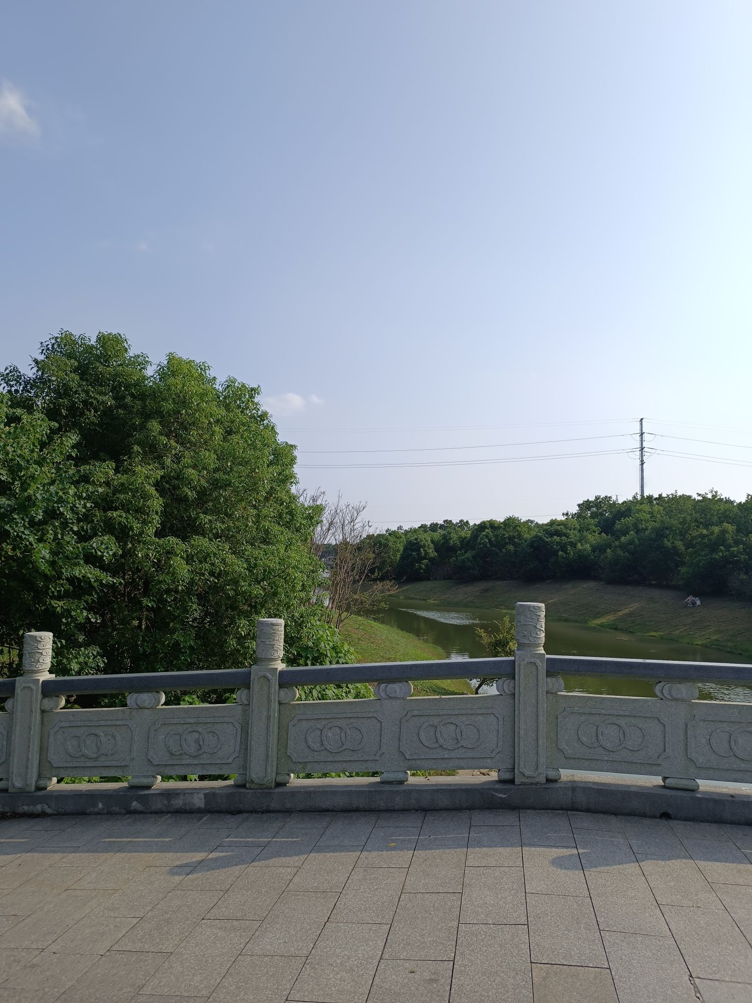 上海海湾国家森林公园旅行图片 2