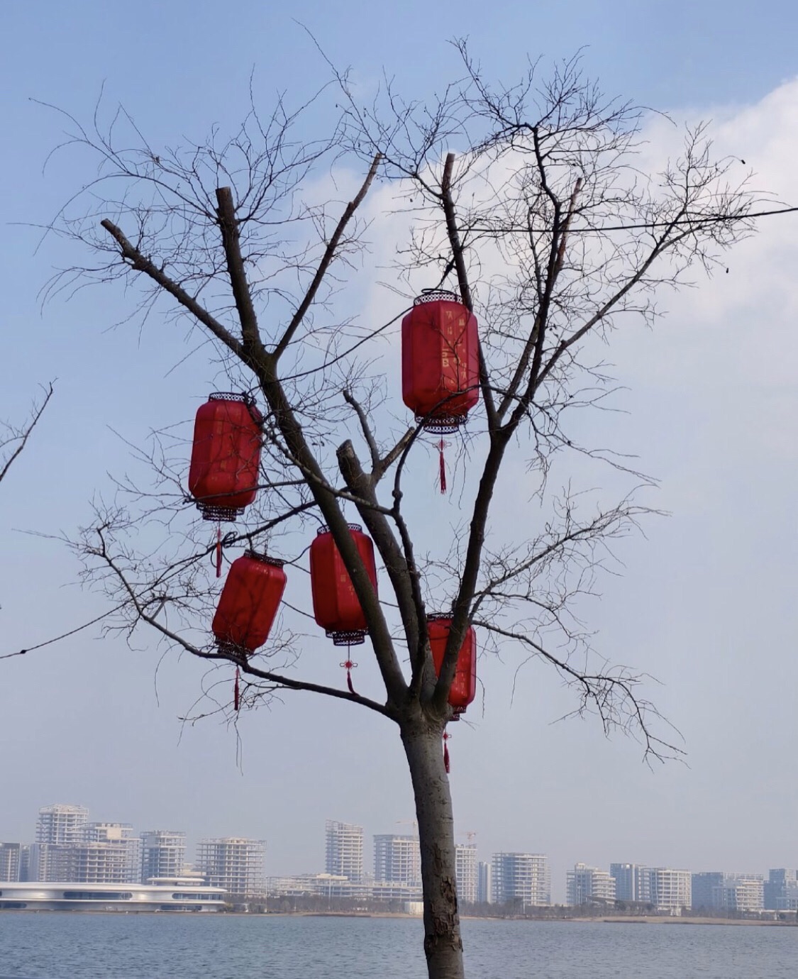 滴水湖旅行图片 1