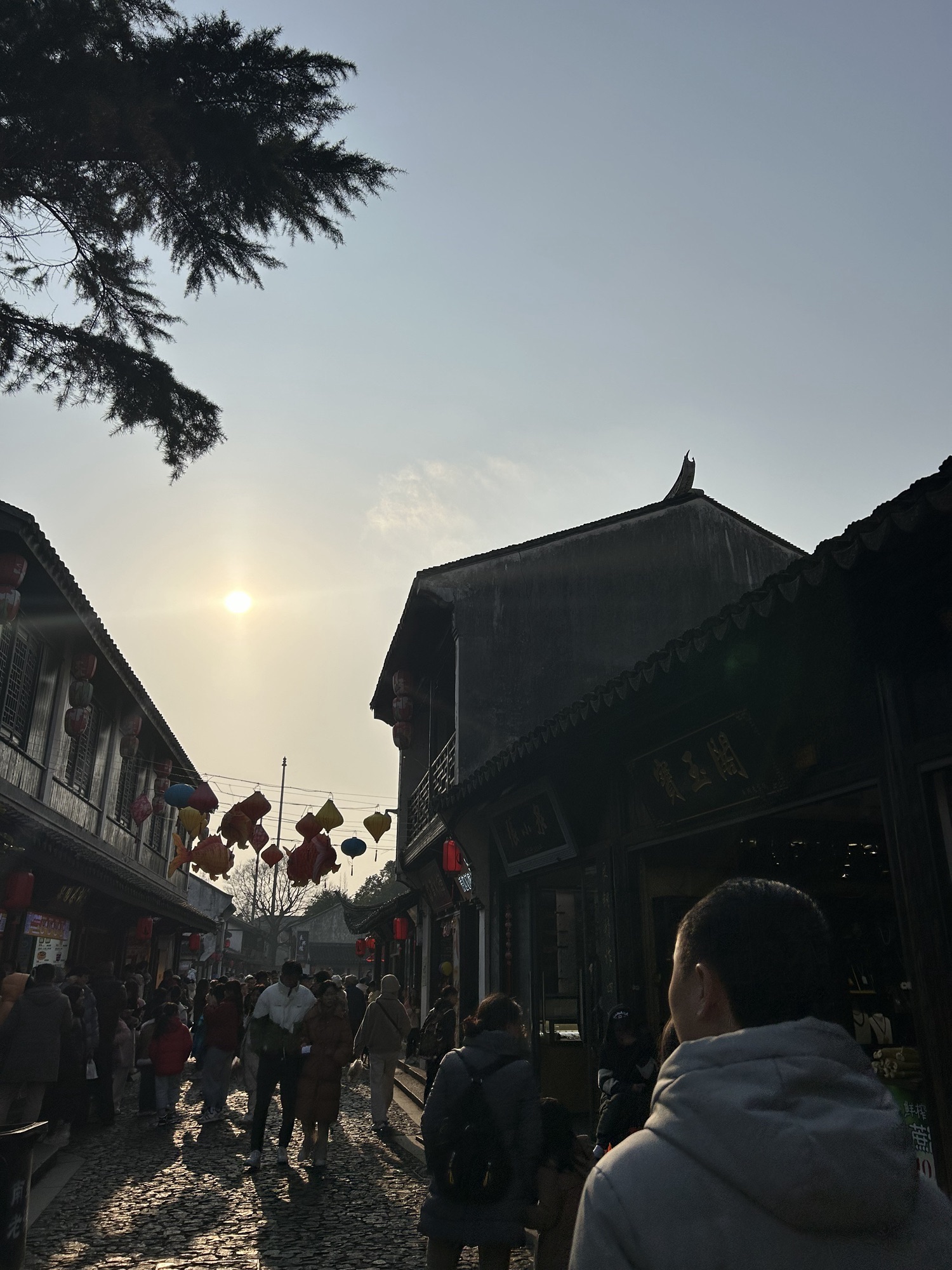 南翔古镇旅行图片 2