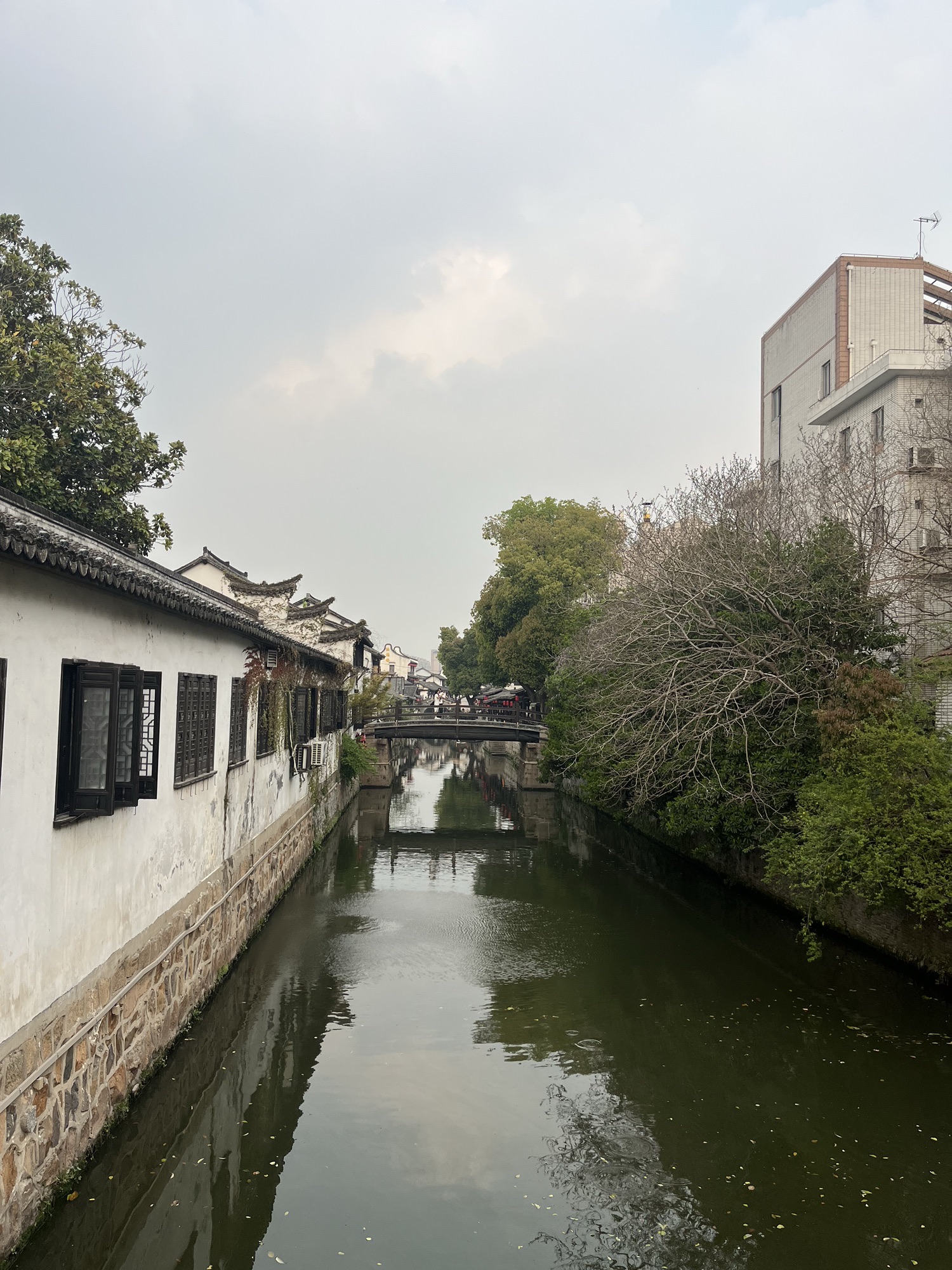 新场古镇旅行图片 3