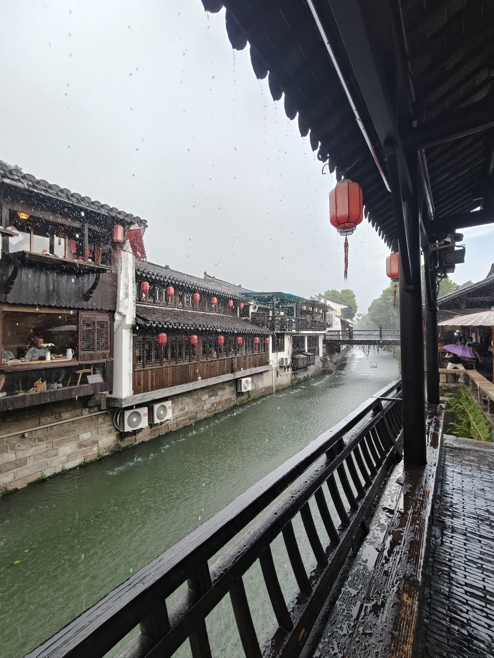 新场古镇旅行图片 1
