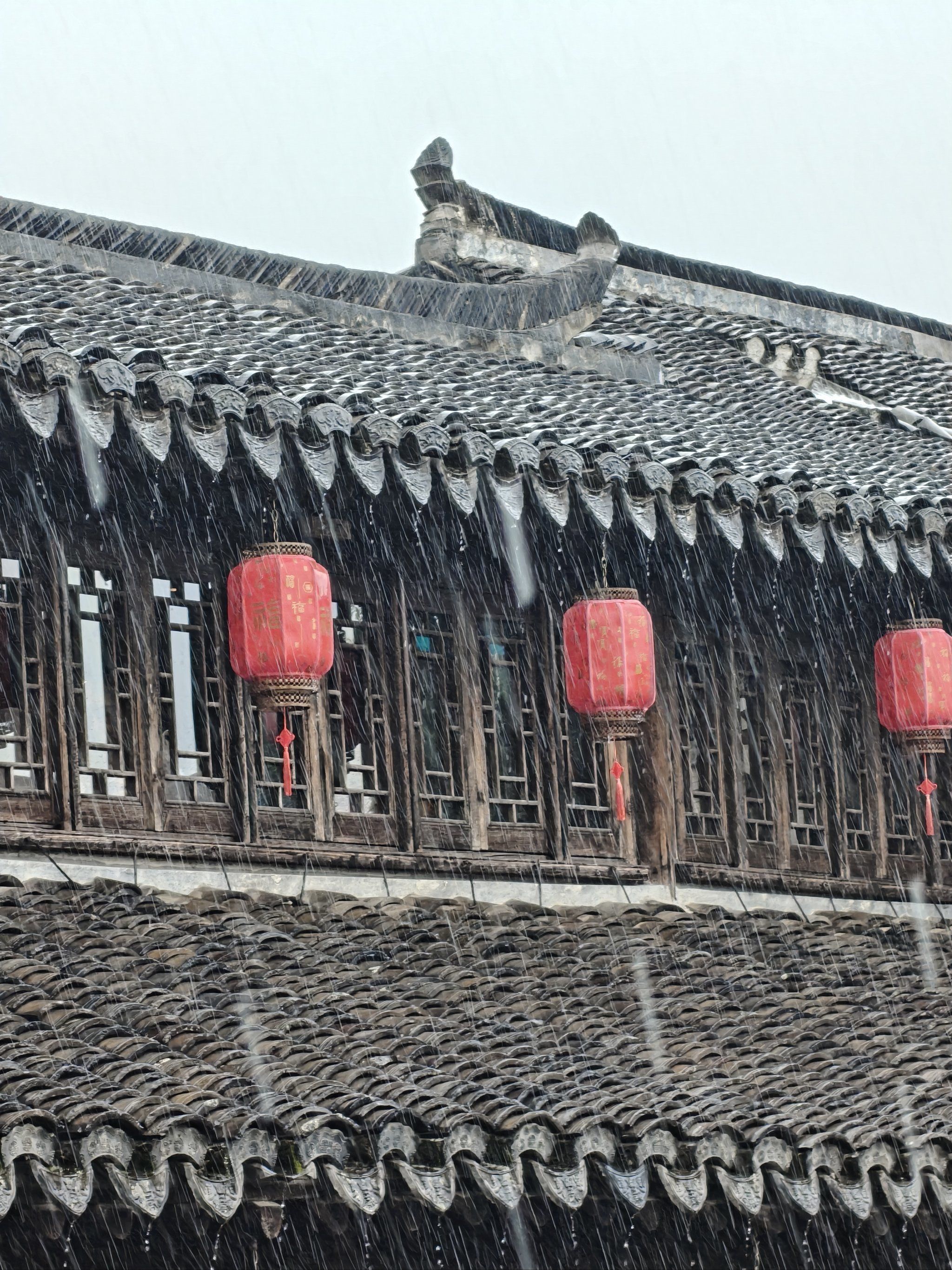 新场古镇旅行图片 2