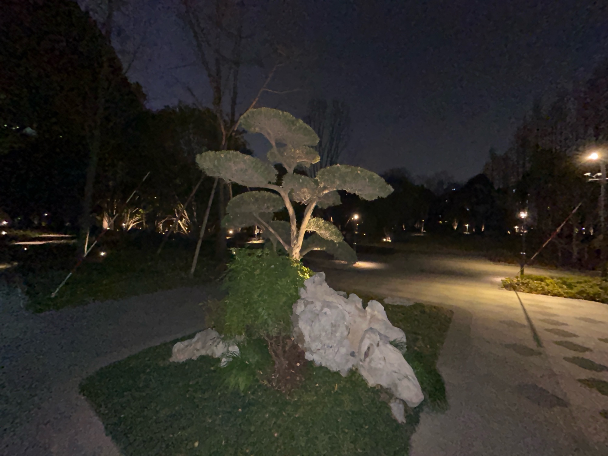 漕溪公园旅行图片 2