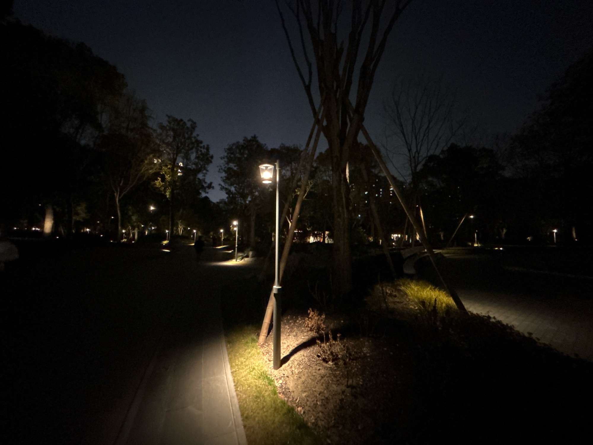 漕溪公园旅行图片 3