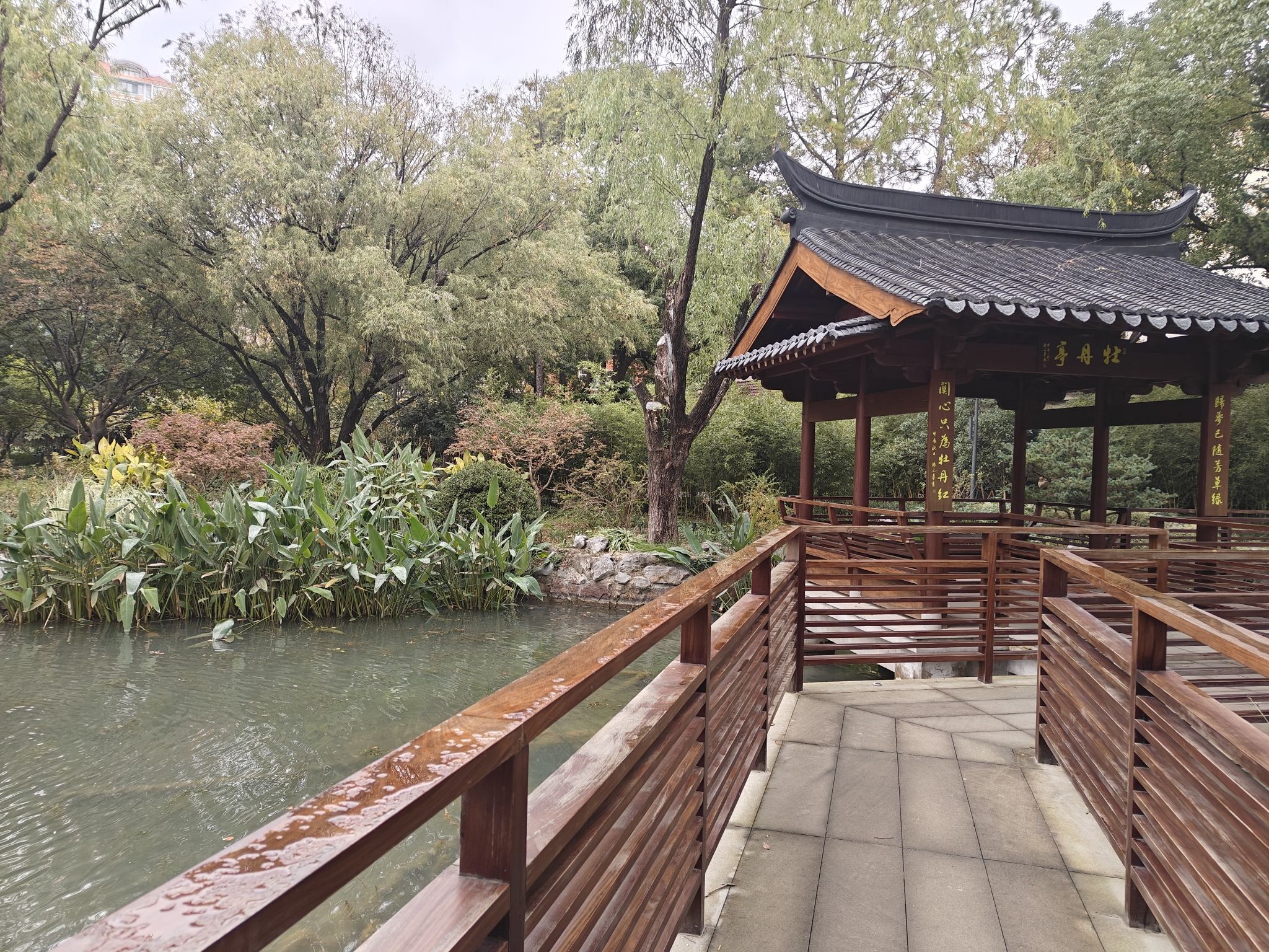 漕溪公园旅行图片 2