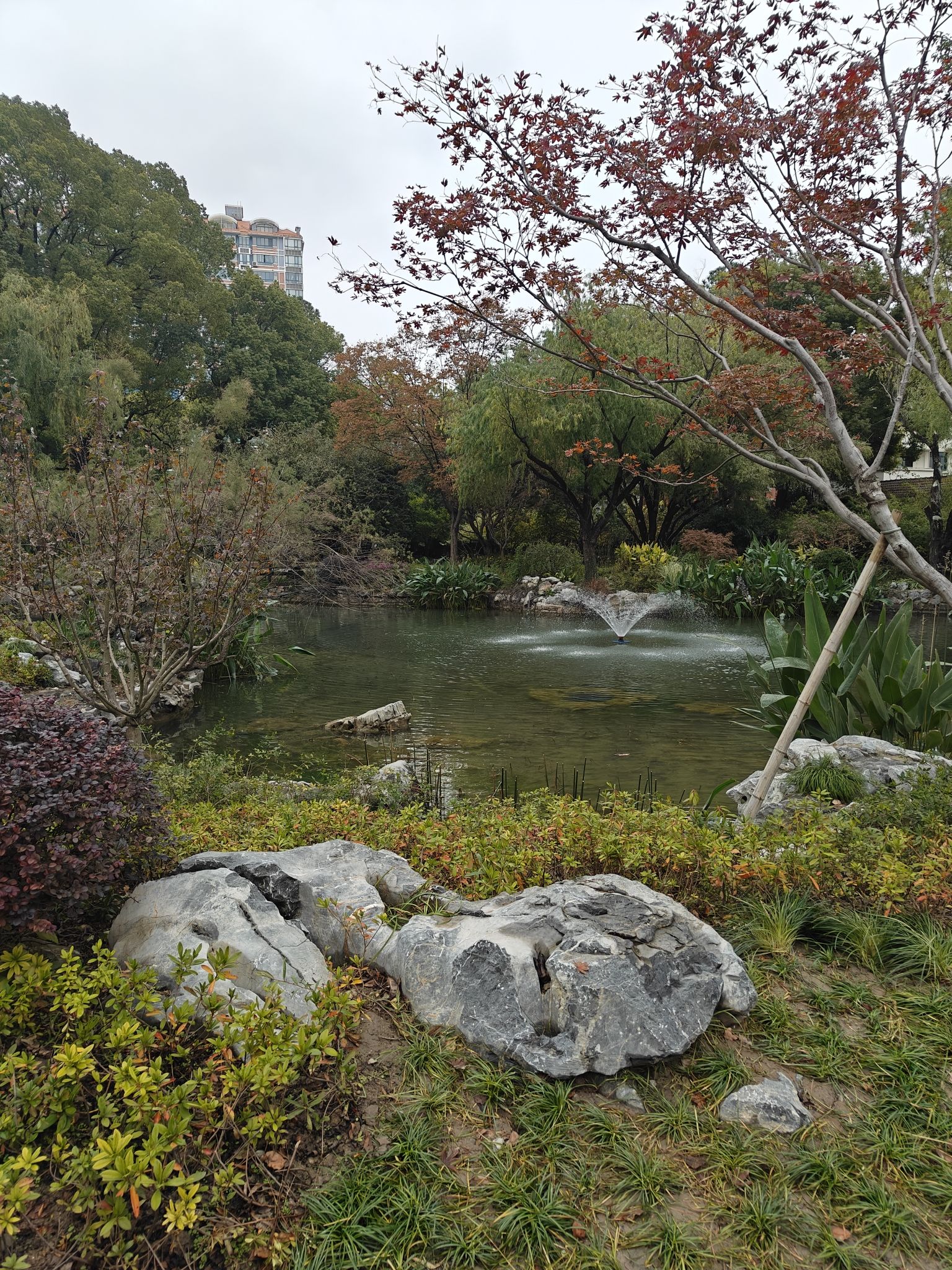 漕溪公园旅行图片 1