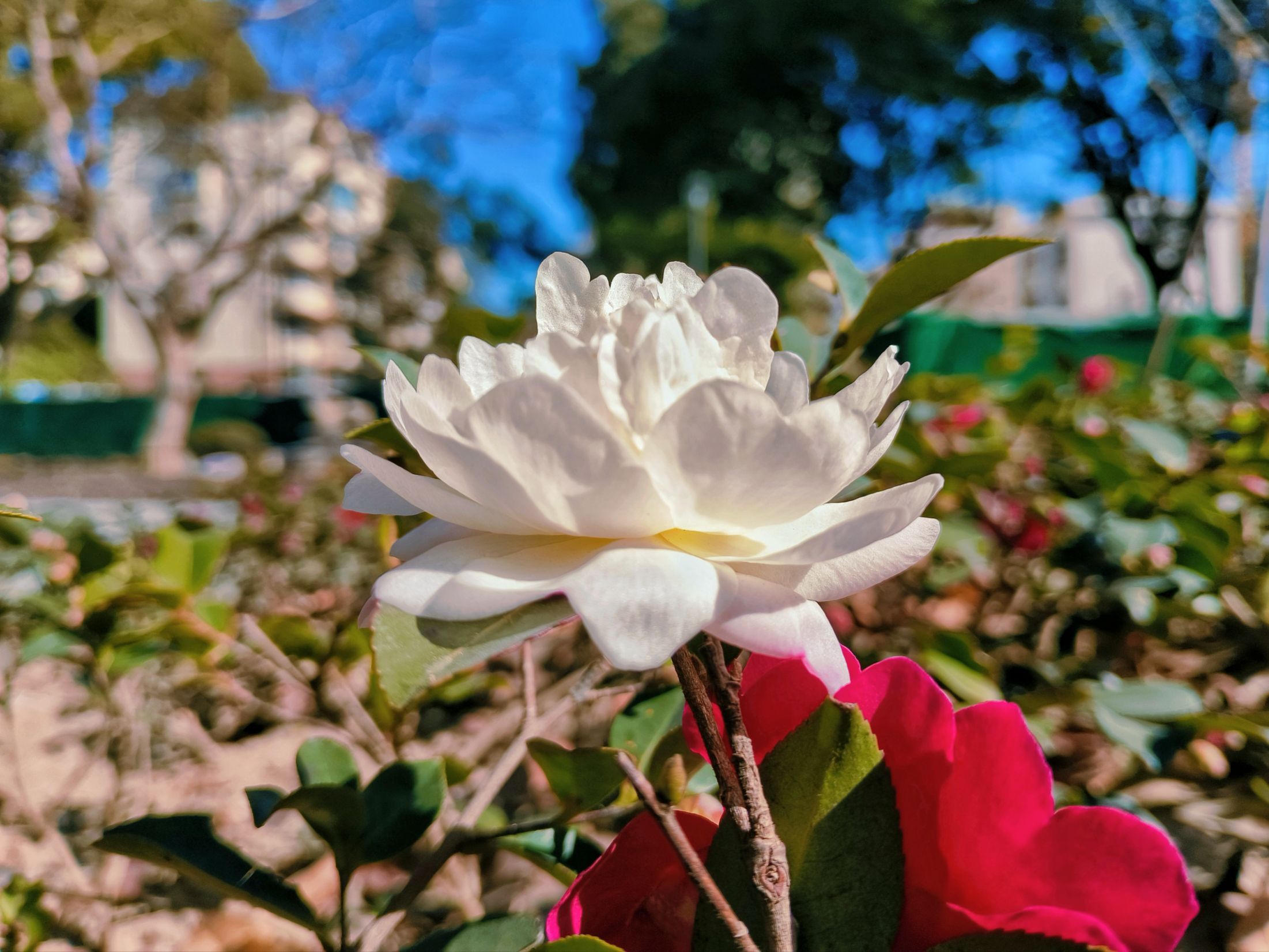 漕溪公园旅行图片 2