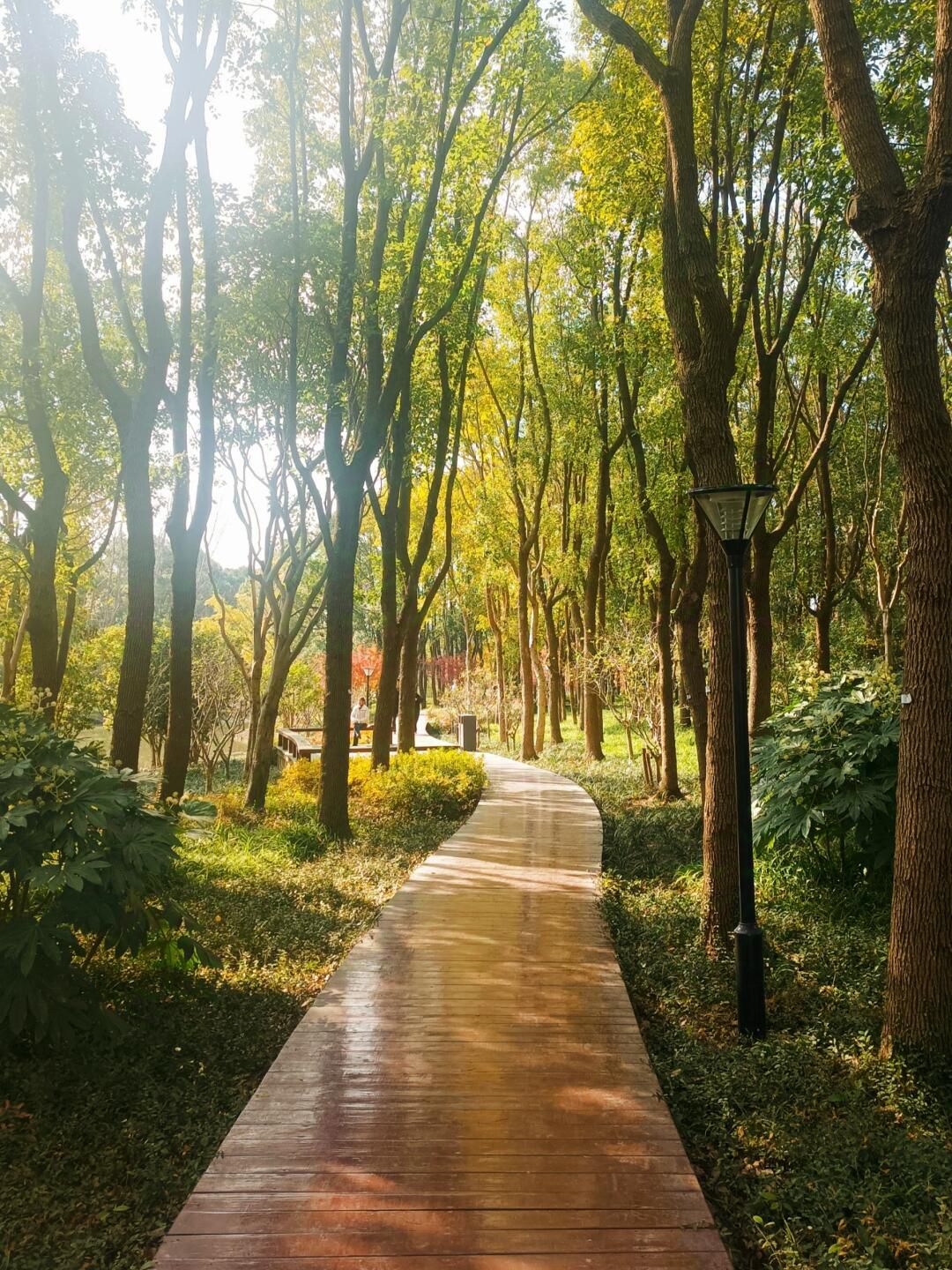 华夏公园旅行图片 1
